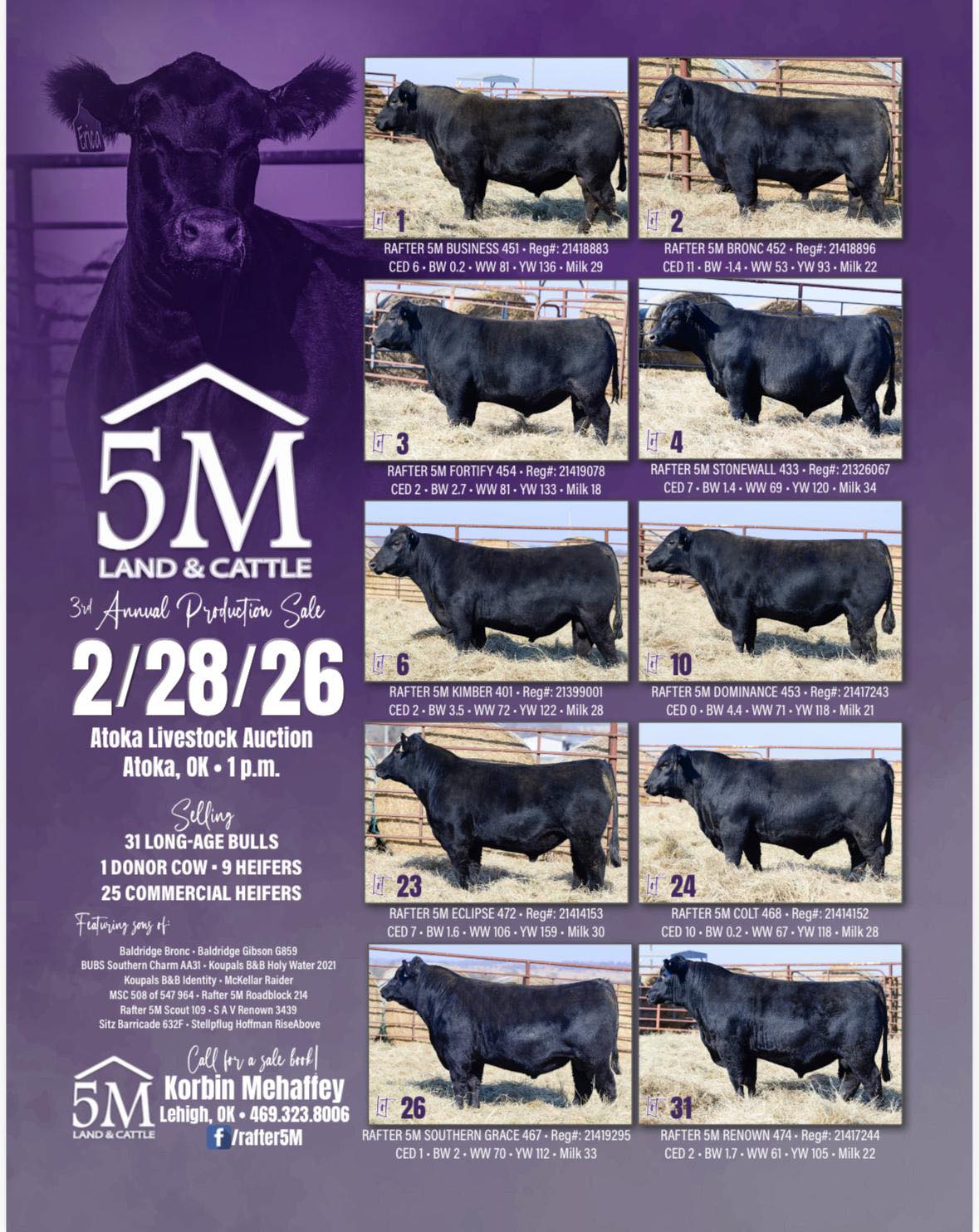 Strommen Livestock Services | Solen ND