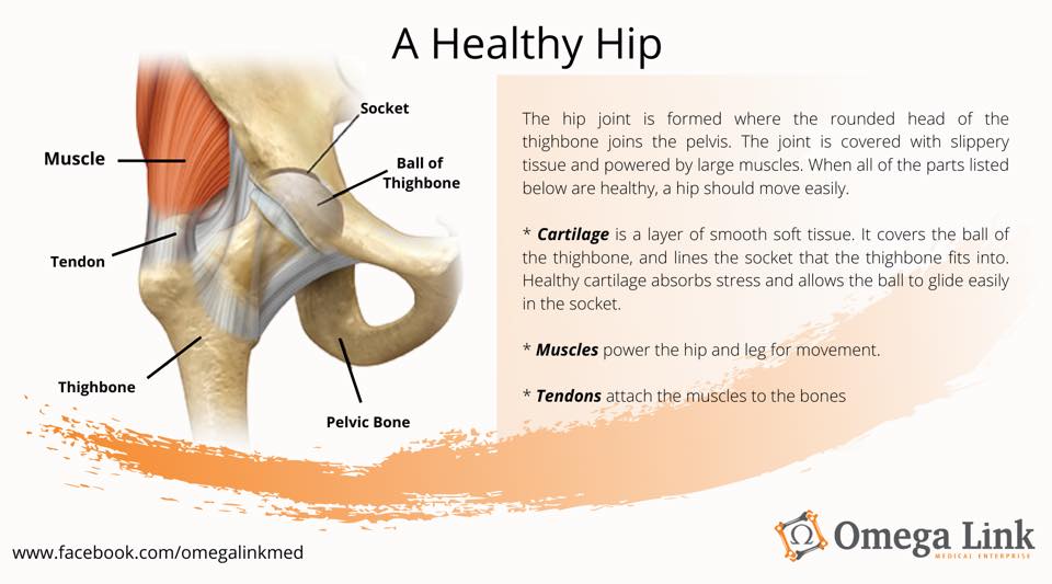 Omega - Are your Hip joint healthy? Read on to know more. | Facebook