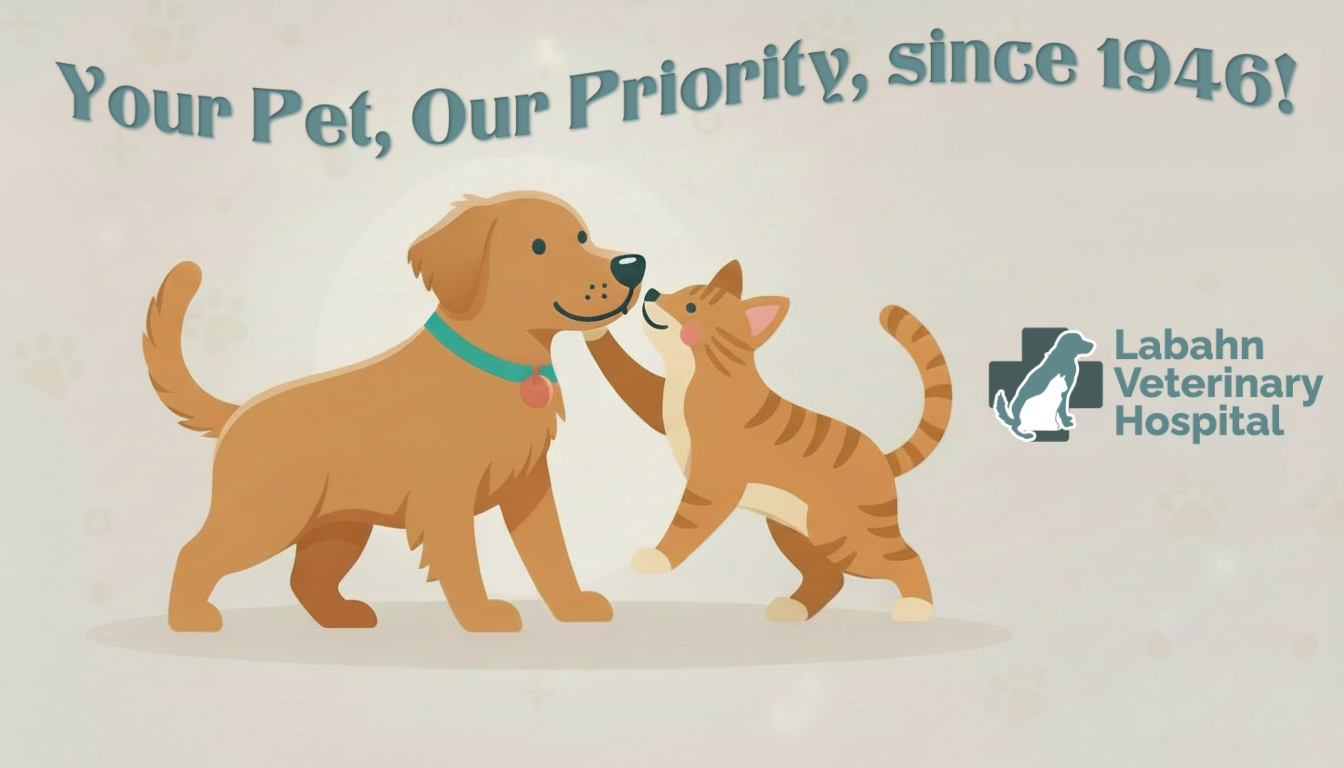 Labahn Veterinary Hospital | Fort Smith AR