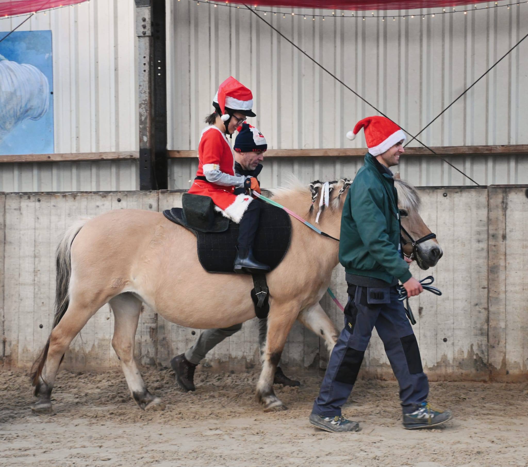 manege-balans-dreischor