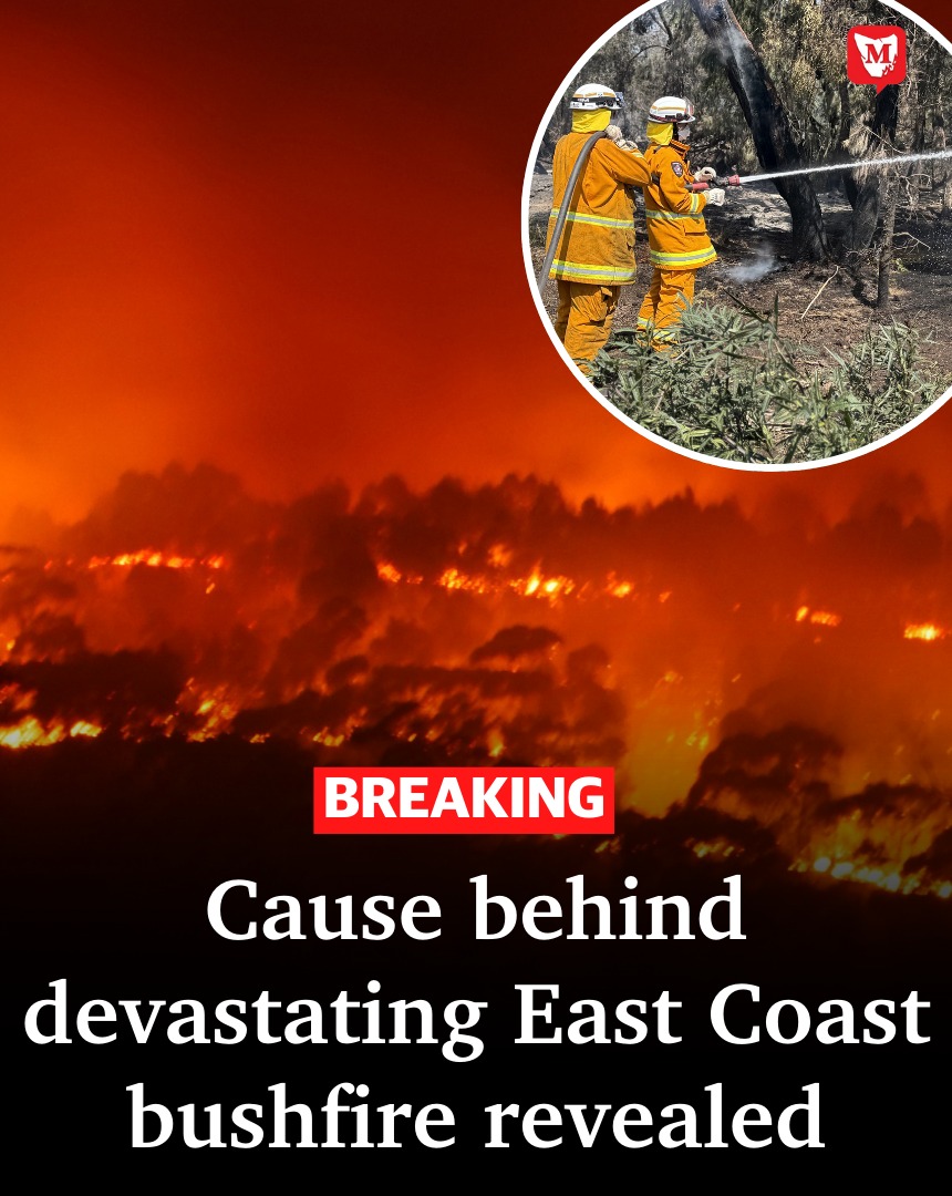 The North - Tasmania Fire Service has confirmed what sparked a bushfire ...
