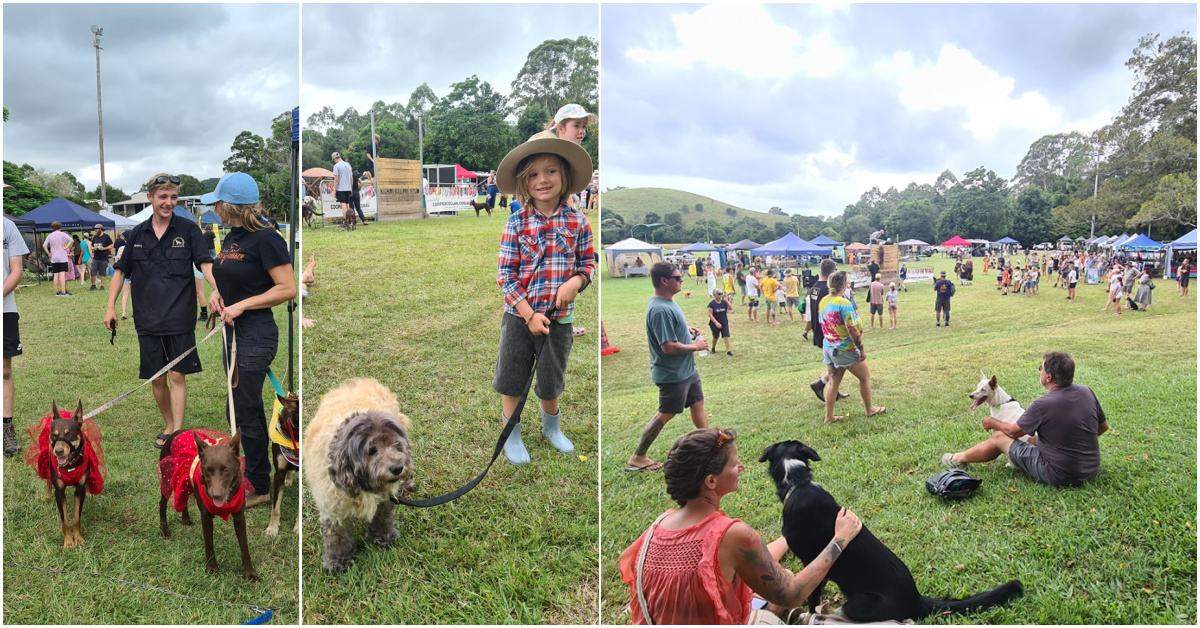 Kin Kin Pet Expo & Market!