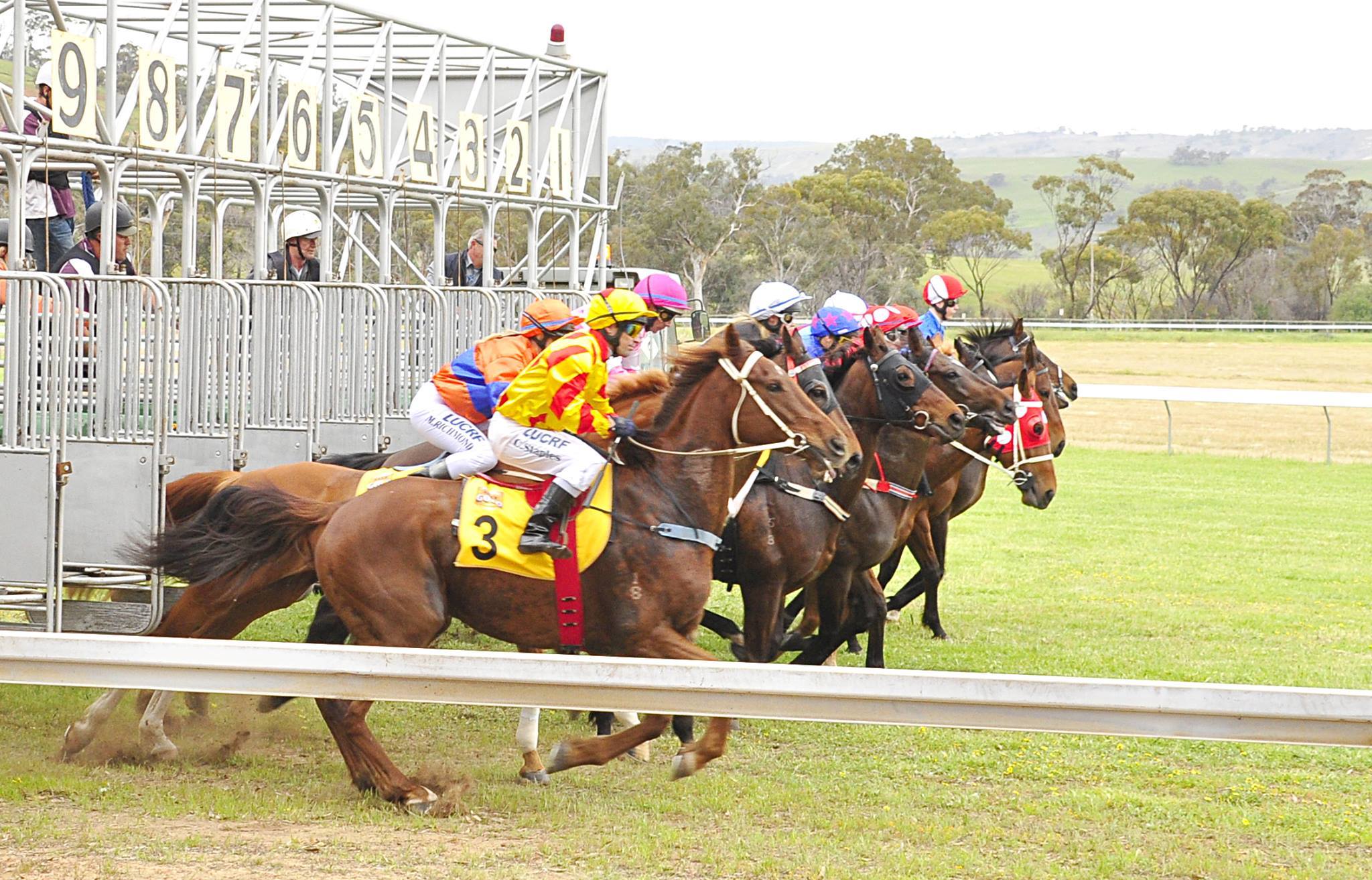 Toodyay Race Club - Interested in Club Membership? Become a member of ...