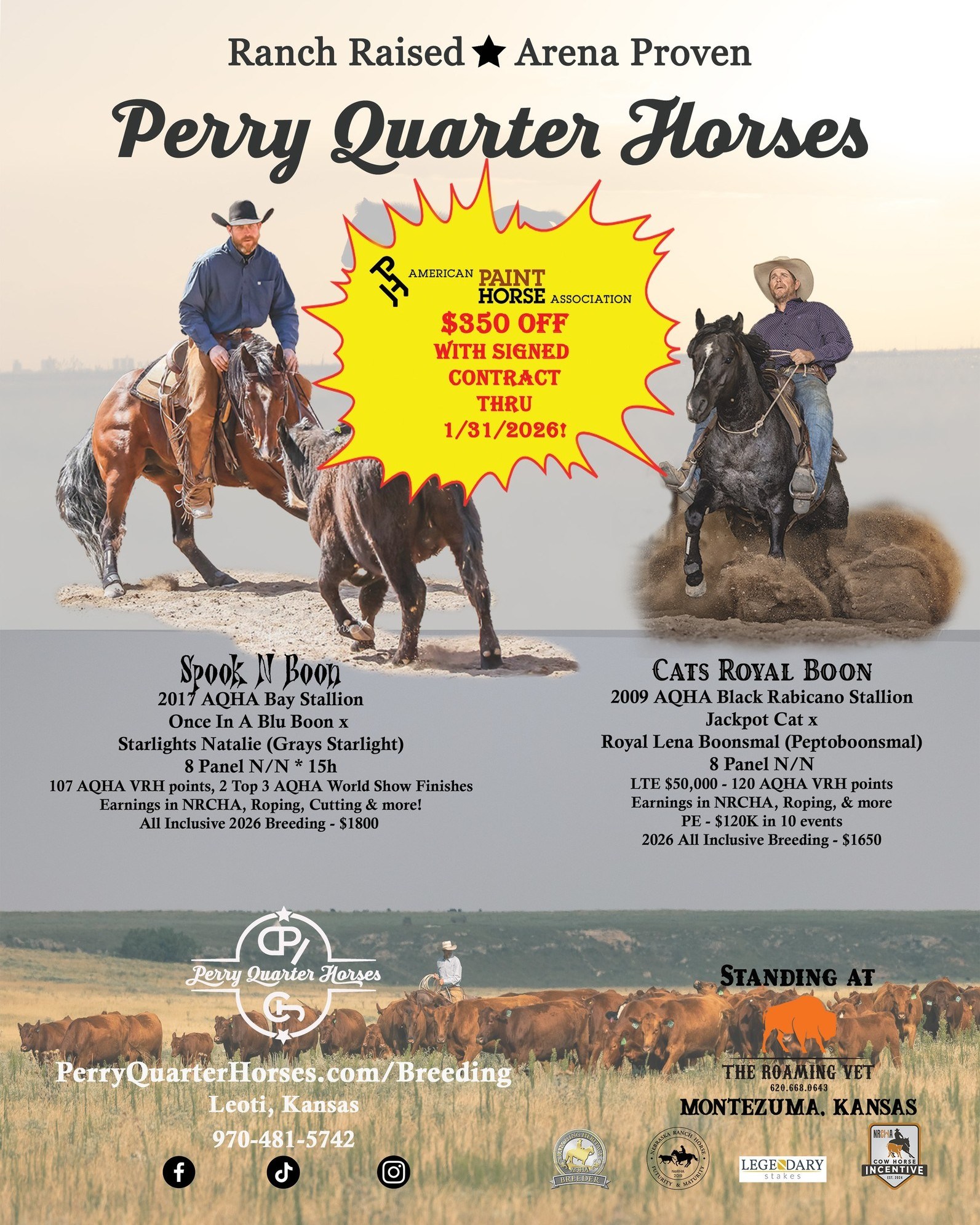 Perry - ~~~ ANNOUNCEMENT ~~~ Both CATS ROYAL BOON & SPOOK N BOON are ...