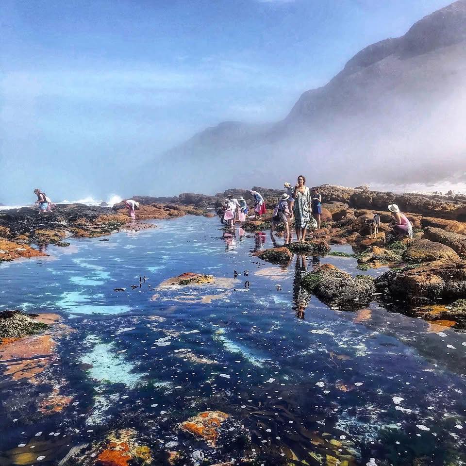 SASSI - SANCCOB saves seabirds celebrates African Penguin Awareness Day ...