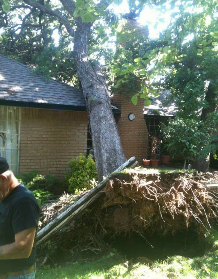 Hasbell's Tree Service | Shawnee OK