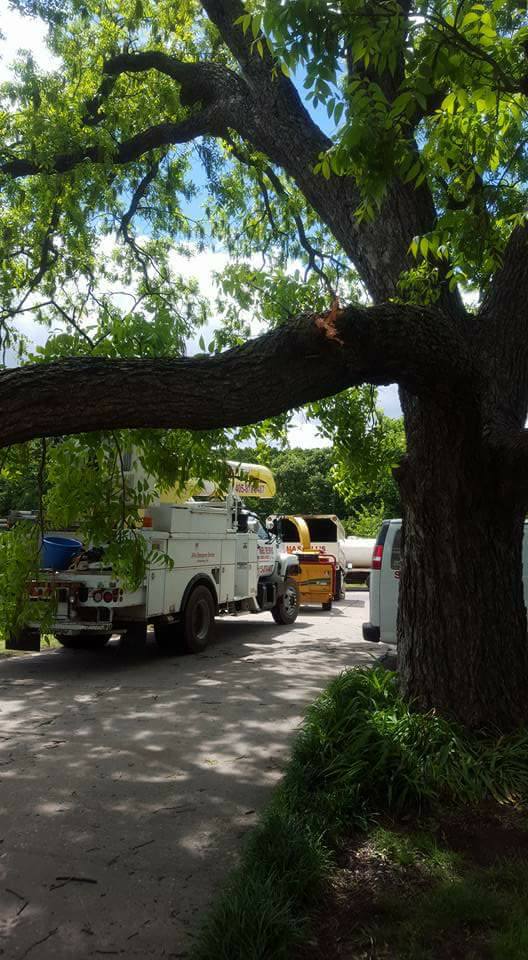 Hasbell's Tree Service | Shawnee OK