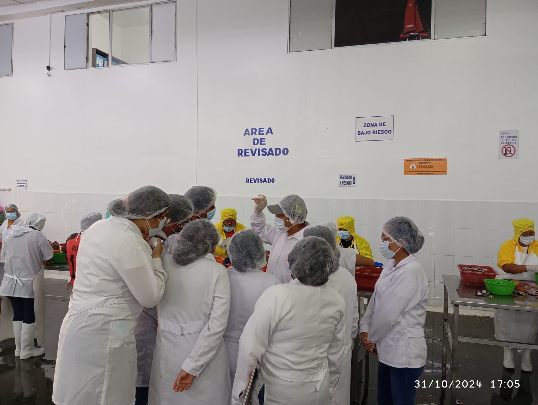 Corporación Marina Sec Yurac | Sechura