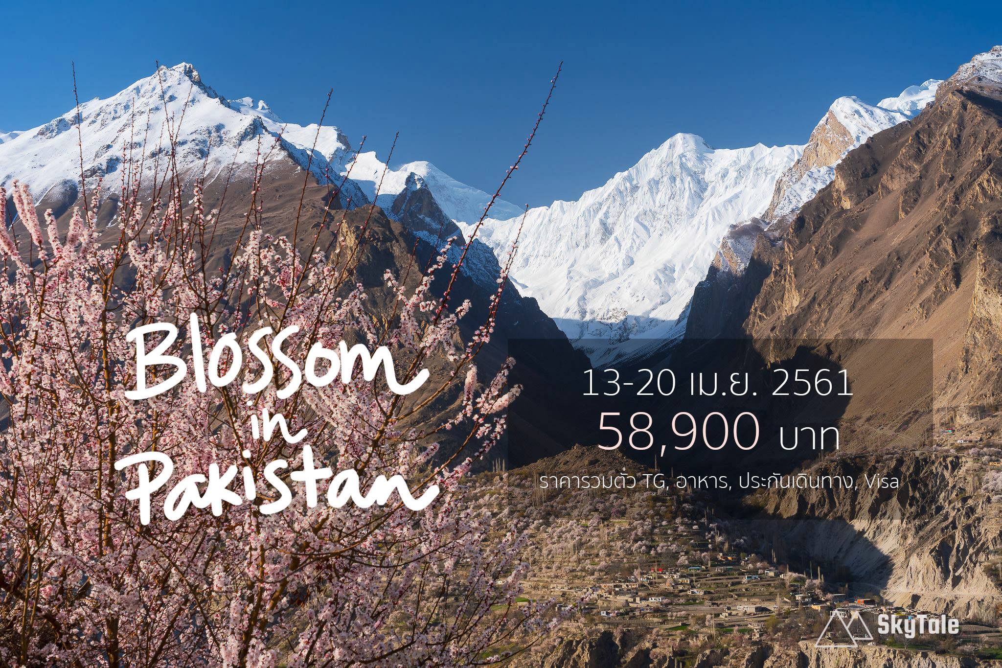 PakaPrich - 🌸 Blossom in Pakistan 🌸...