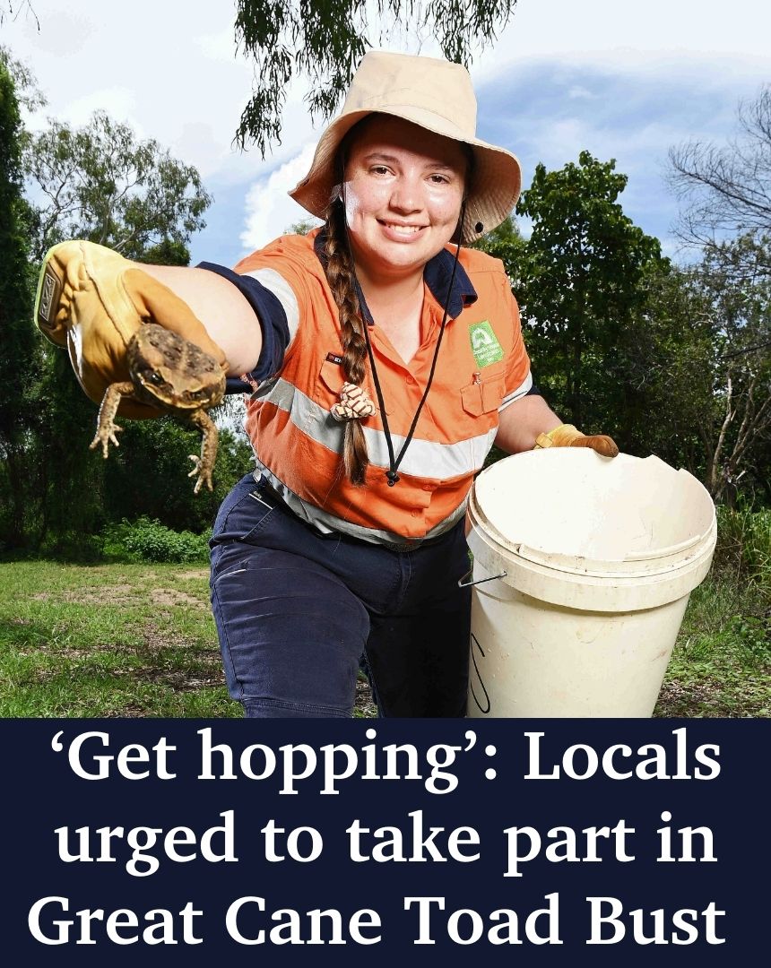 Townsville residents are being... - Townsville Bulletin | Facebook
