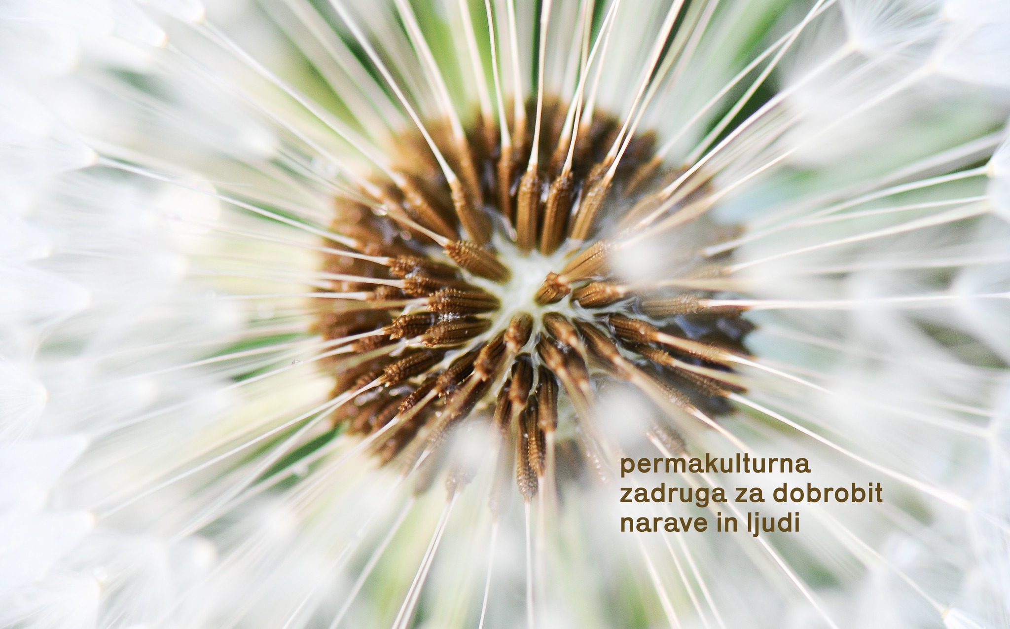 Zadruga Regrat | Rimske Toplice