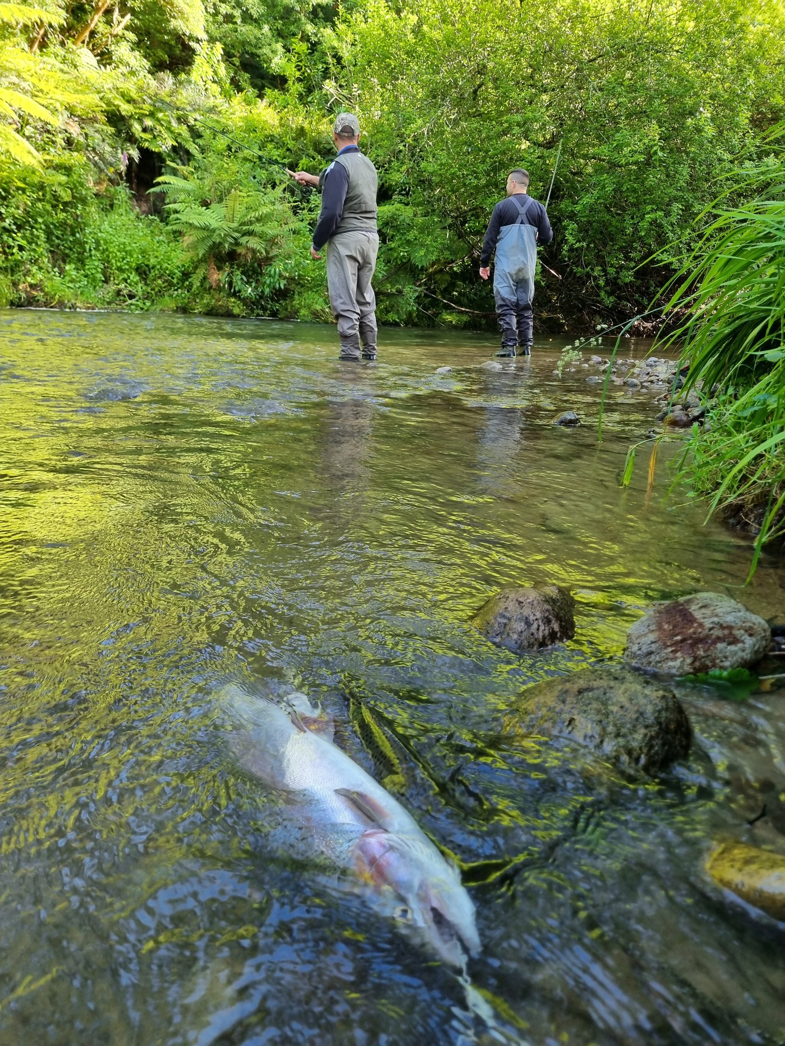 Eastern Fish & Game added a new photo. - Eastern Fish & Game