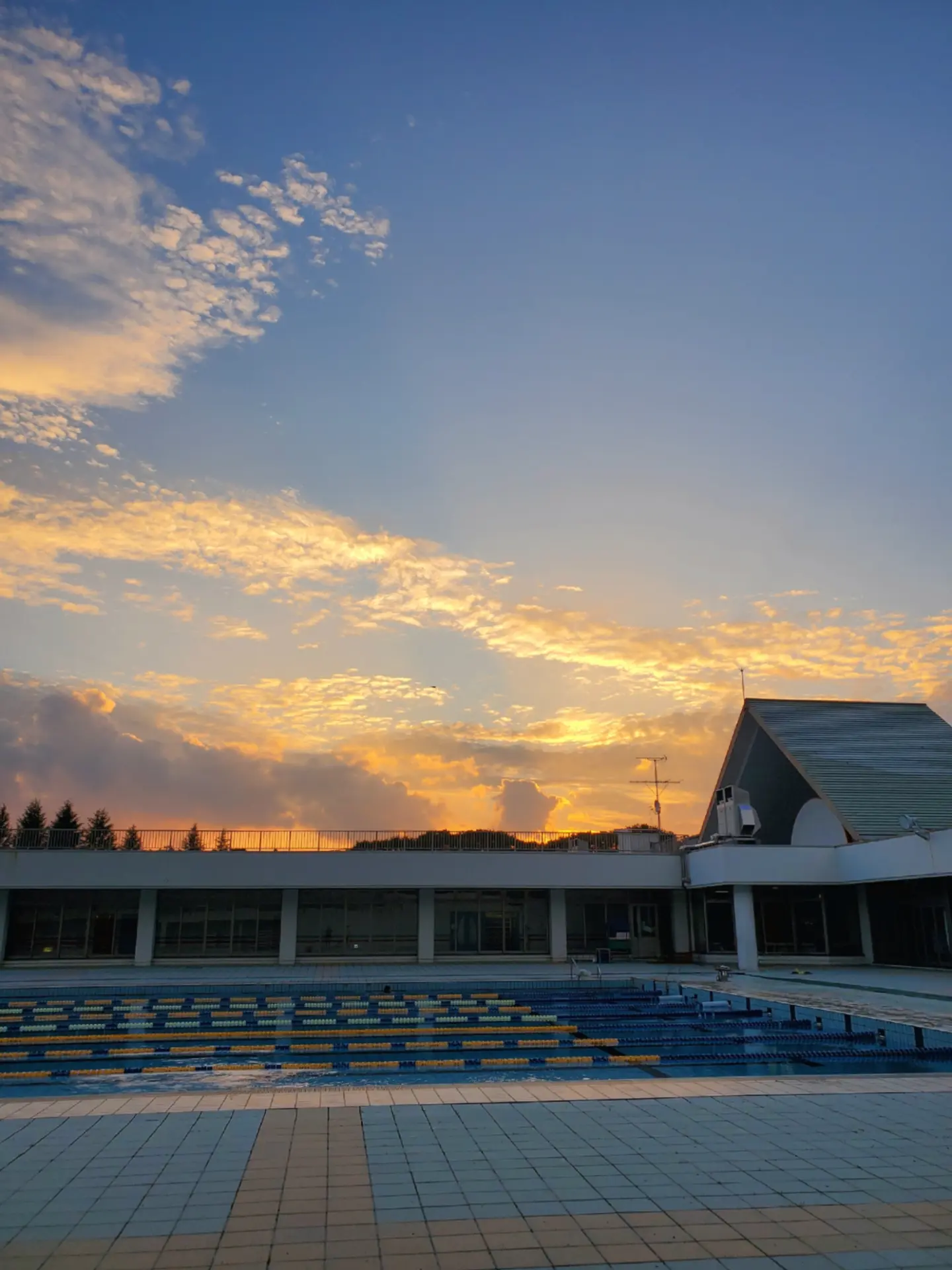 山形 県 総合 運動 公園