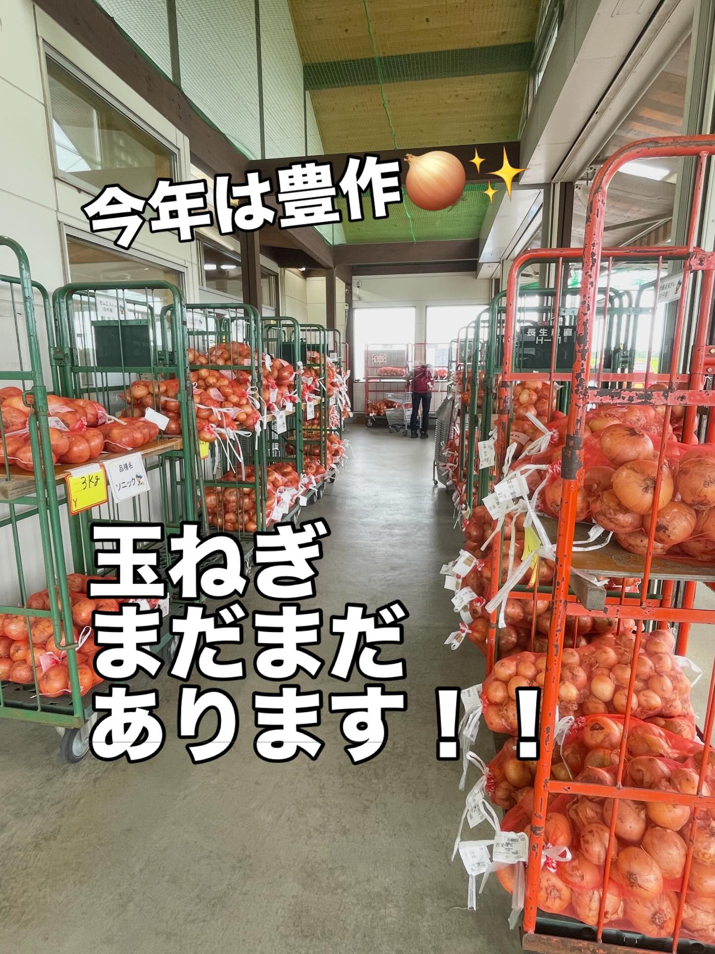 げんき の 里 ひまわり