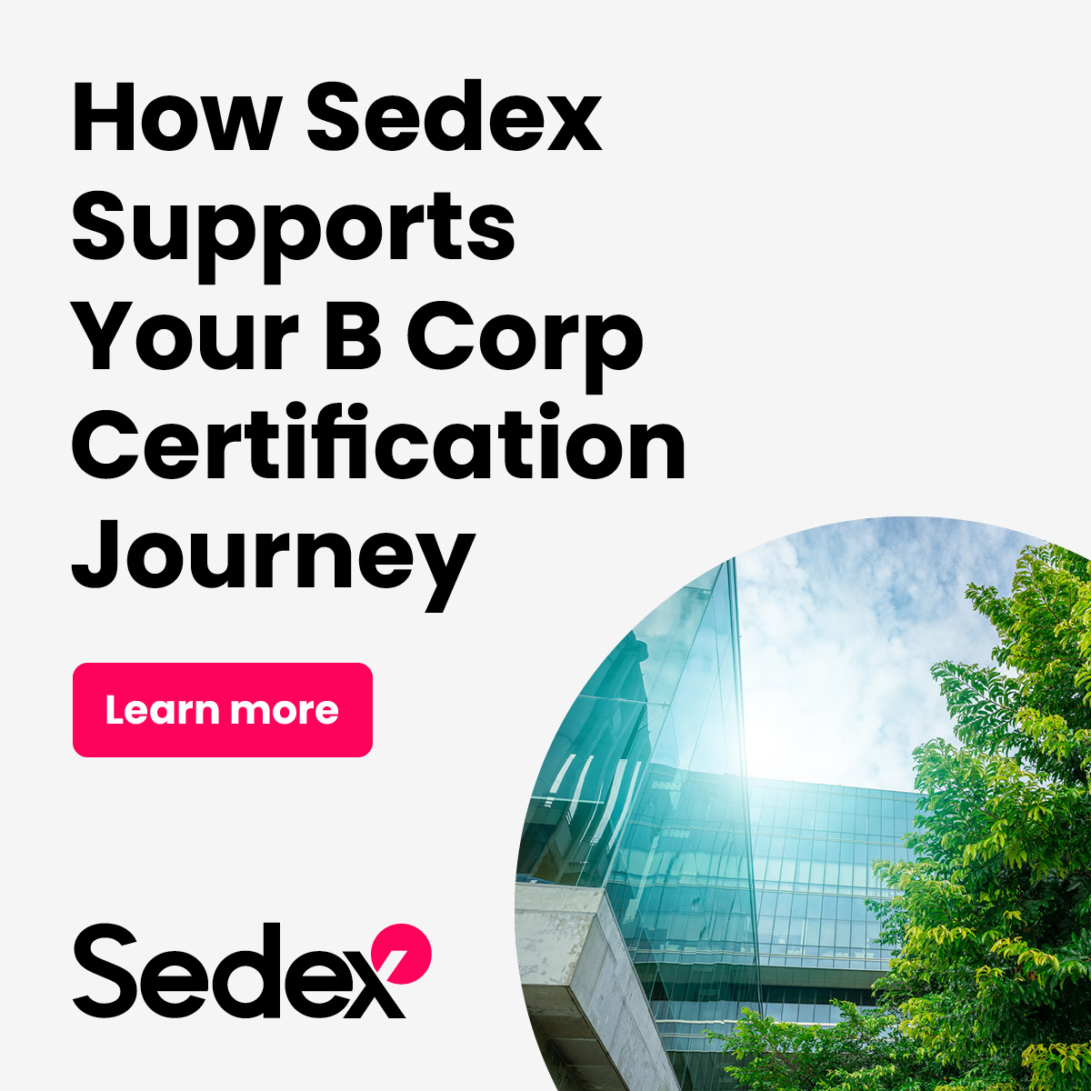 Sedex - The updated B Corp standards introduced recently bring a ...
