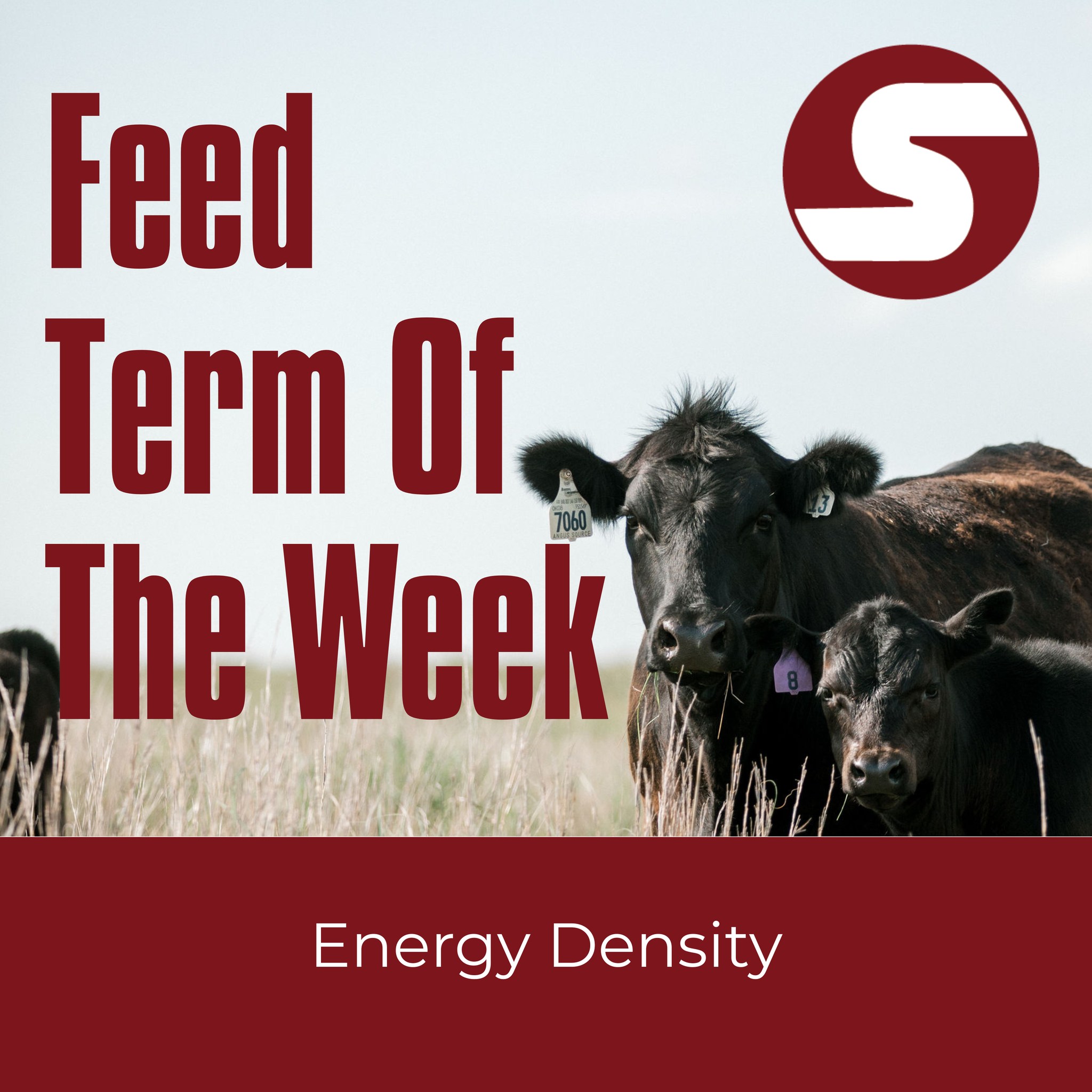 🔥 Feed Term of the Week: Energy... - Suther Feeds, Inc. | Facebook
