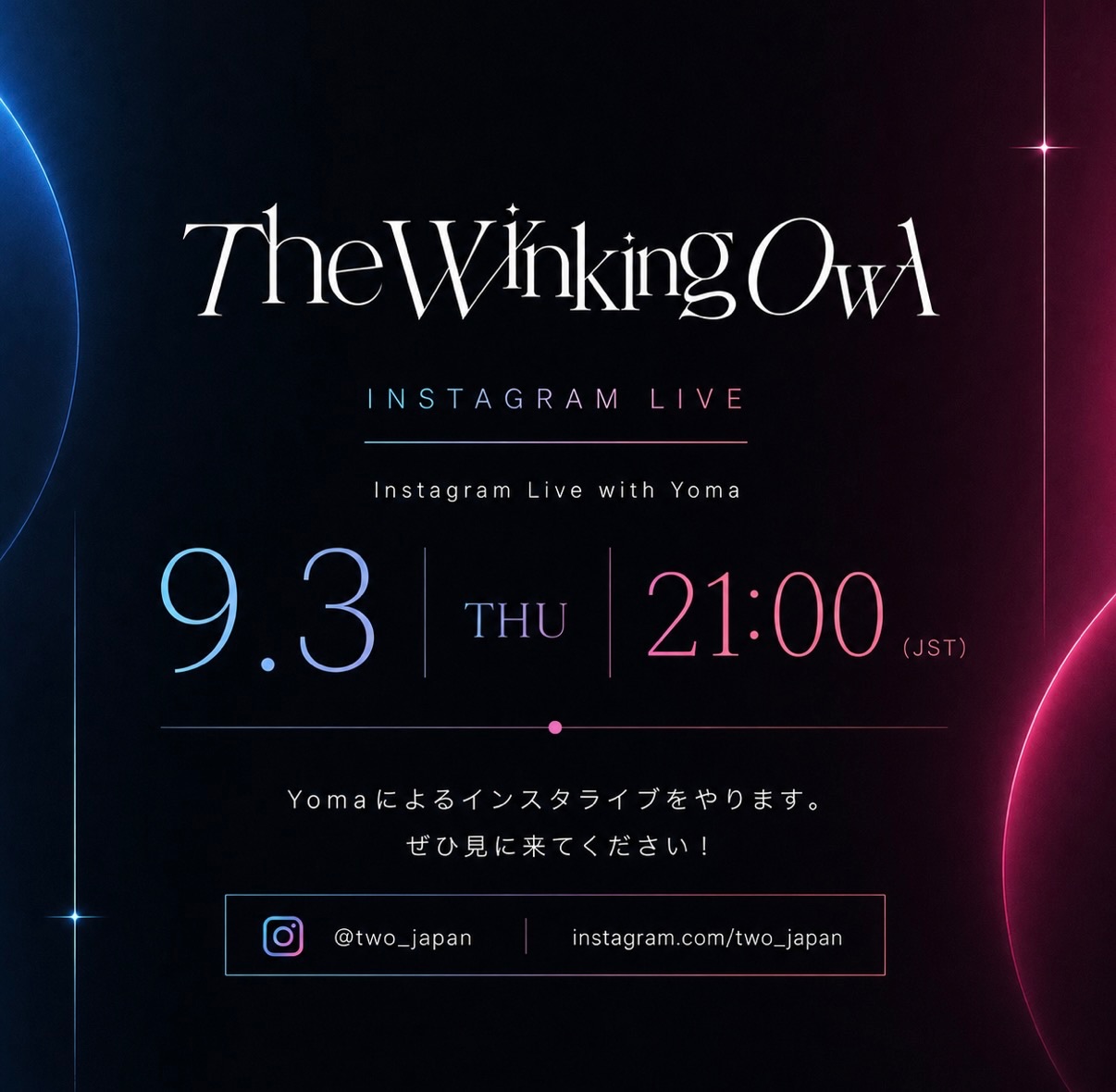 The Winking Owl (@thewinkingowl) • Facebook