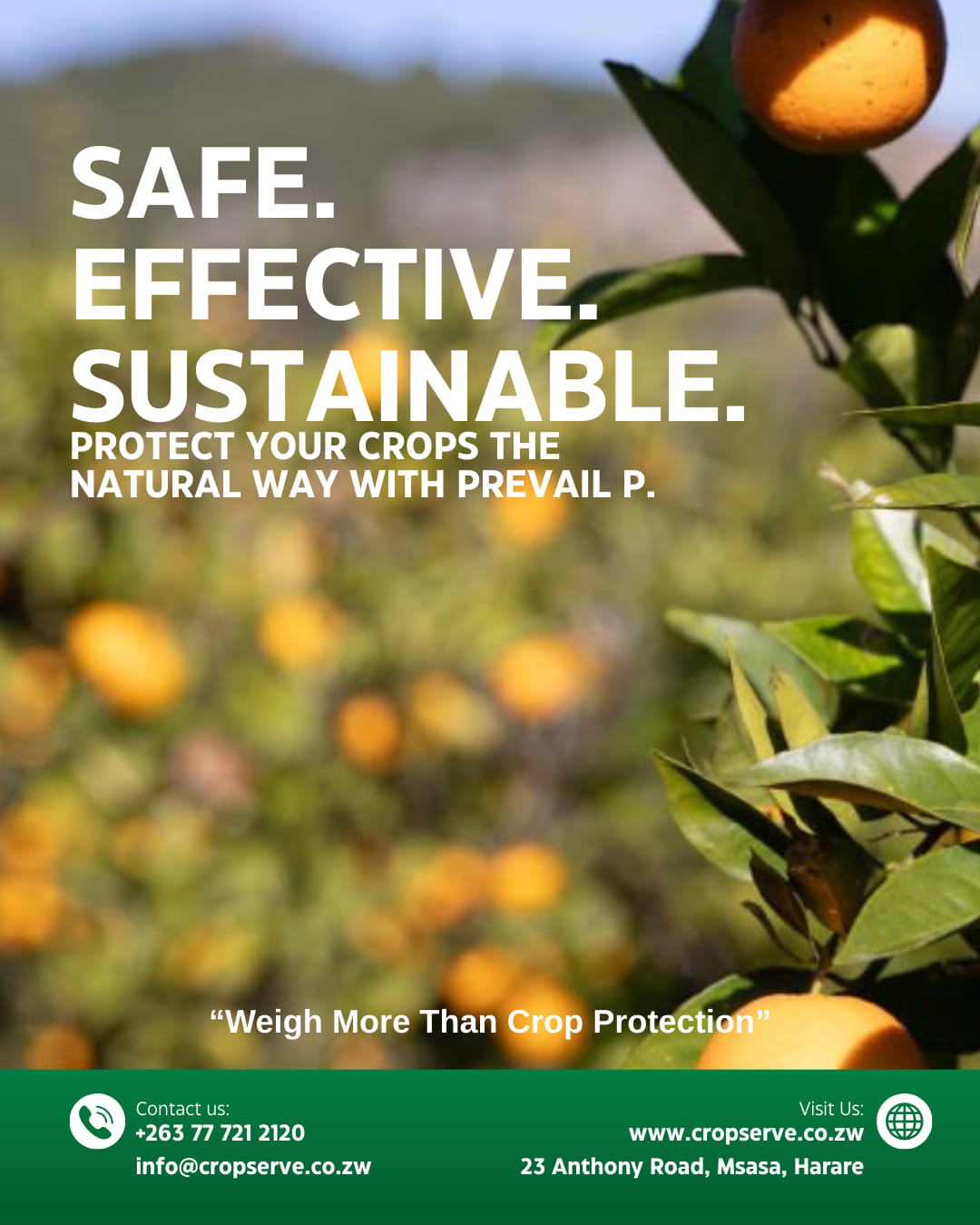 Cropserve - Introducing Prevail-P: Your Natural Shield... | Facebook