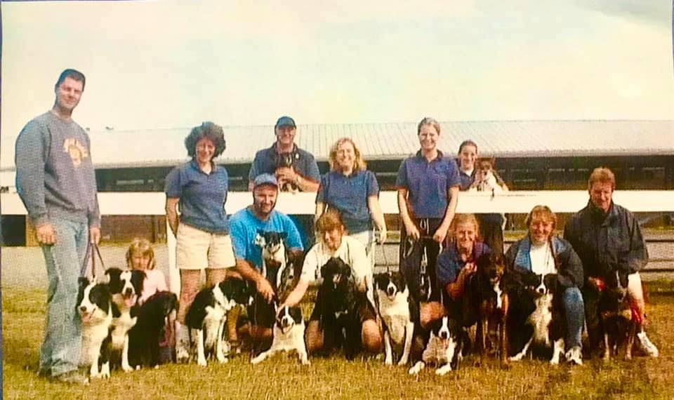 Dynamo Darts Flyball Team... - Dynamo Darts Flyball Team