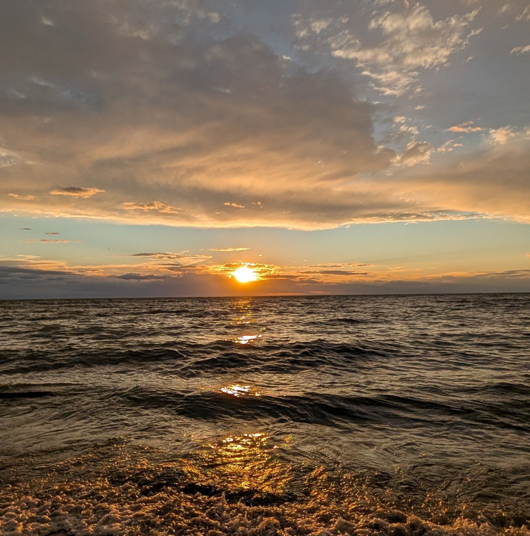 Mentor Marsh and Headlands Nature and Wildlife | On Tuesday morning ...