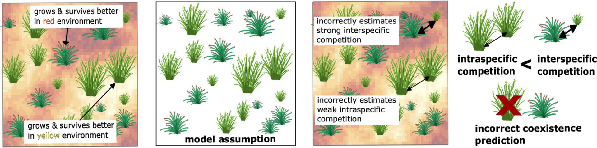 Journal - 🌱 Common issue in coexistence studies: ecologists often ...