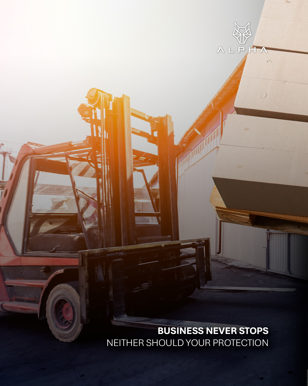 Alpha Insure | Bedfordview