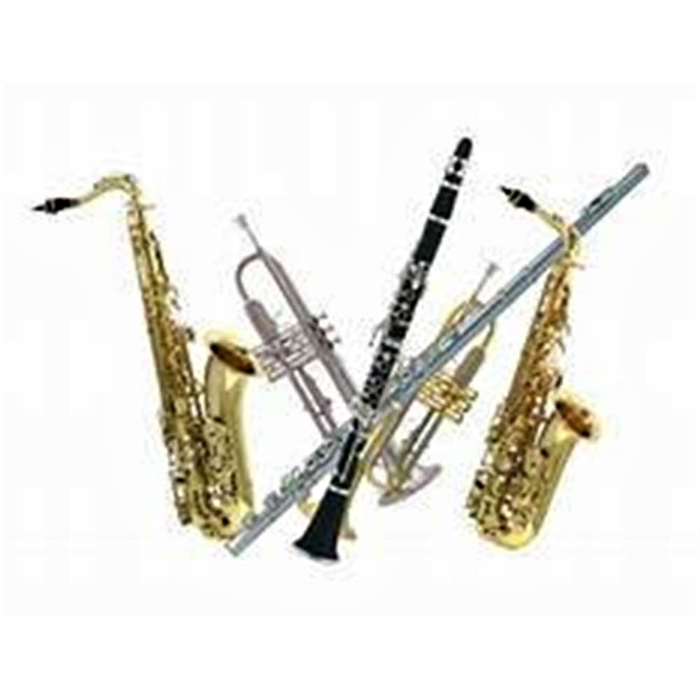 We’re Looking for Musical Instruments - Saxophones, Trumpets, Clarinet ...