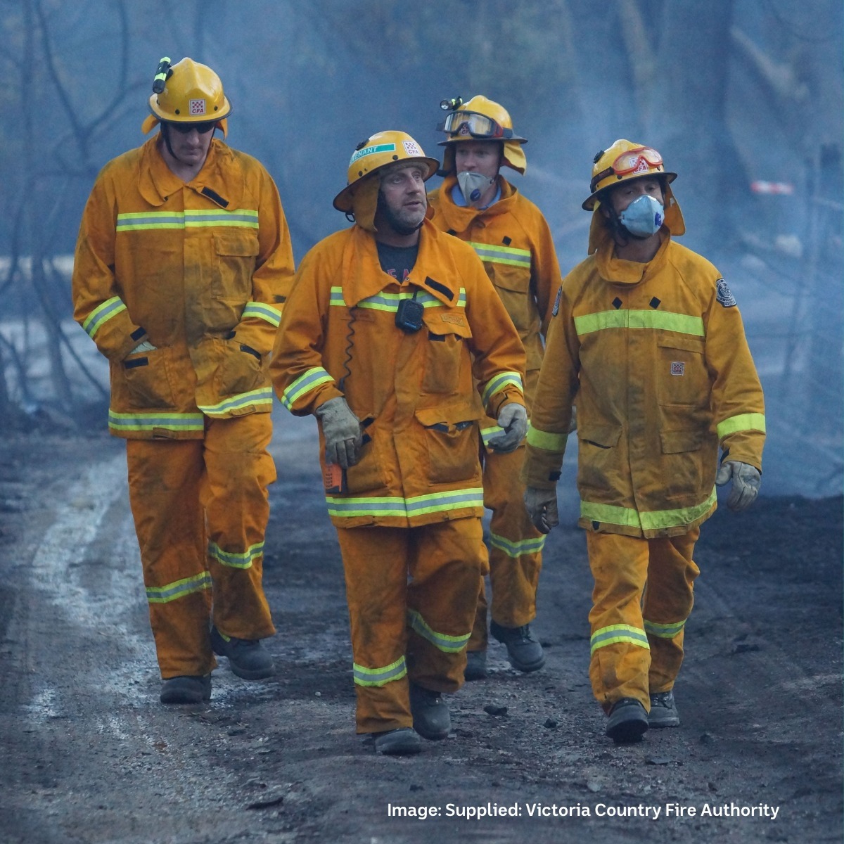 NEW... - NSW Rural Fire Service - Southern Border District | Facebook