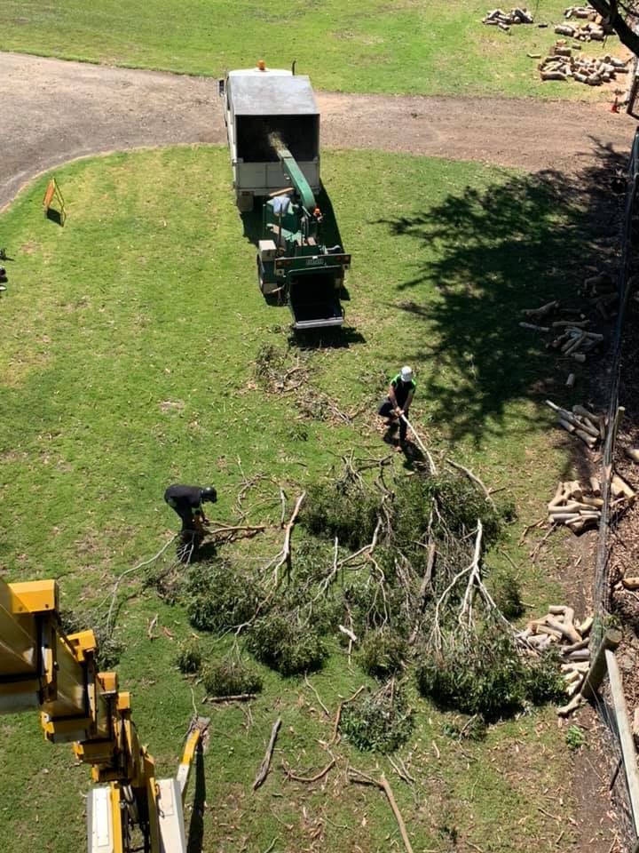 SNC TreeTech - The Boys working away , I’m chilling in...