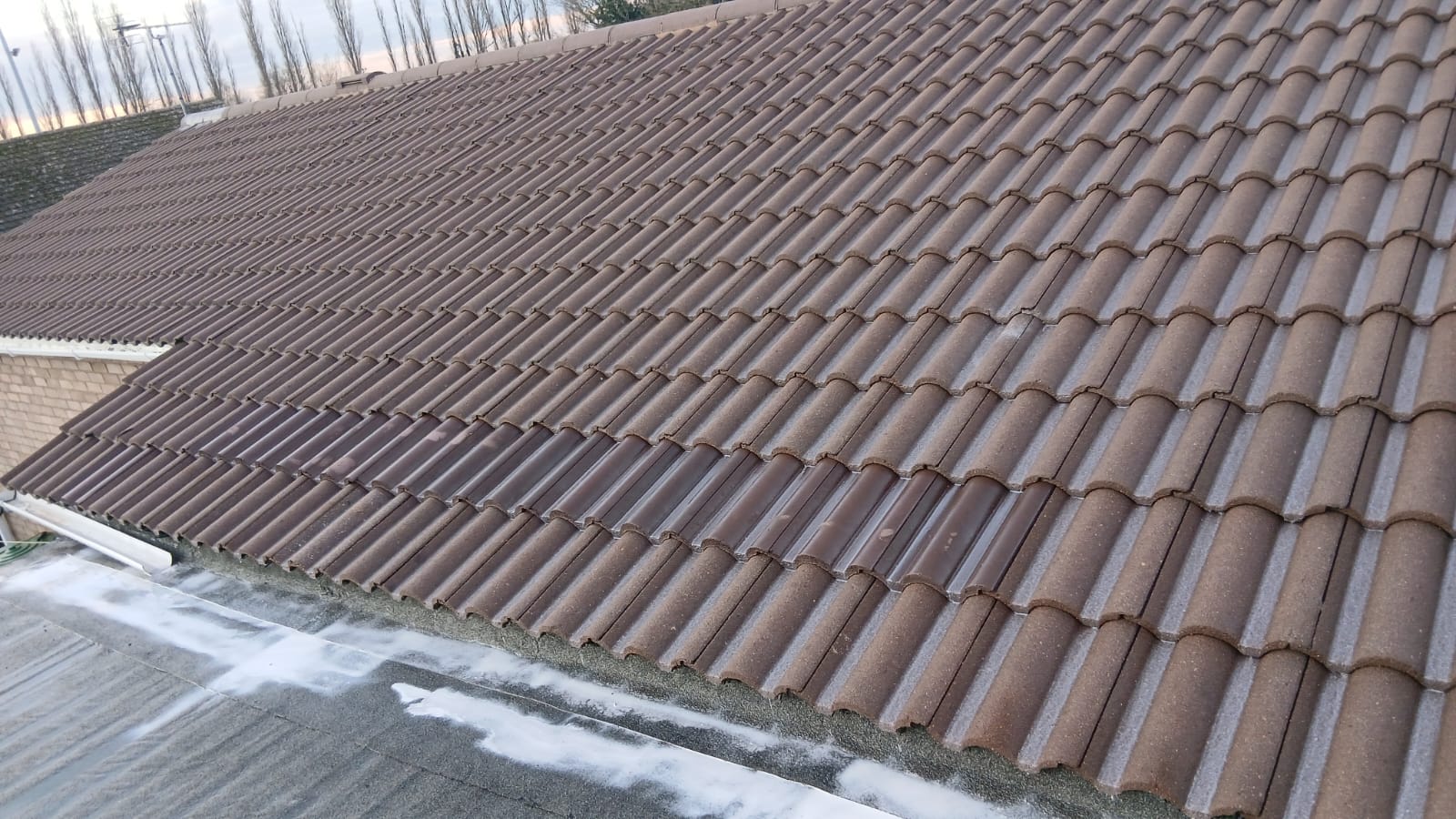 Universal - 🏠 Protect & Preserve Your Roof with Properla Clear Roof ...