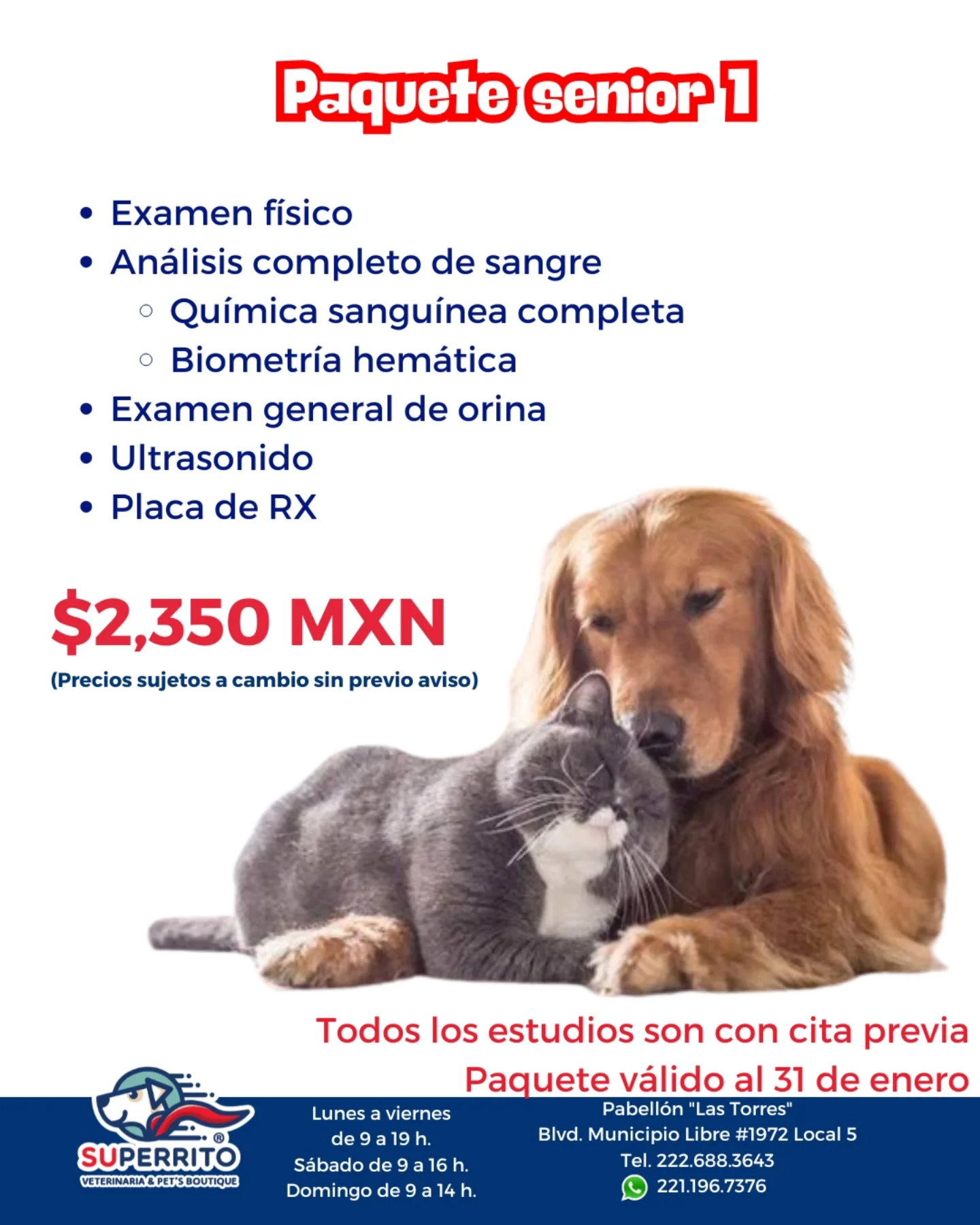 Superrito - Superrito added a new photo.
