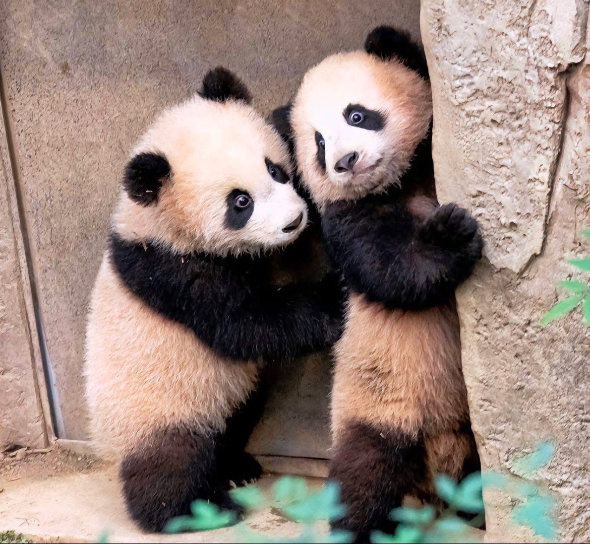 Chào 29 Tết chô chú nhaaaaaa Ngày cuối... - Rui Hui đáng yêu | Facebook