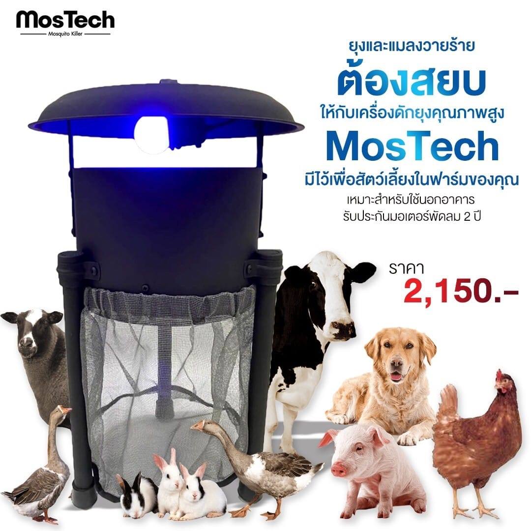 MOSTECHThailand - 👉 เจ้ายุงตัวร้าย และแมลงตัวเล็กๆ... | Facebook