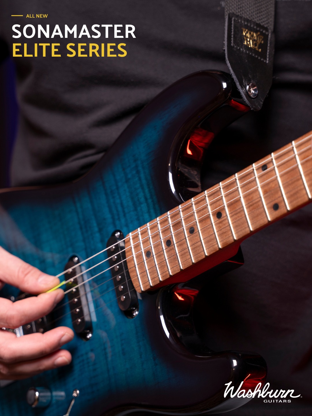 Washburn - TBT. From our 2002 catalog here's the Dimebag Darrell