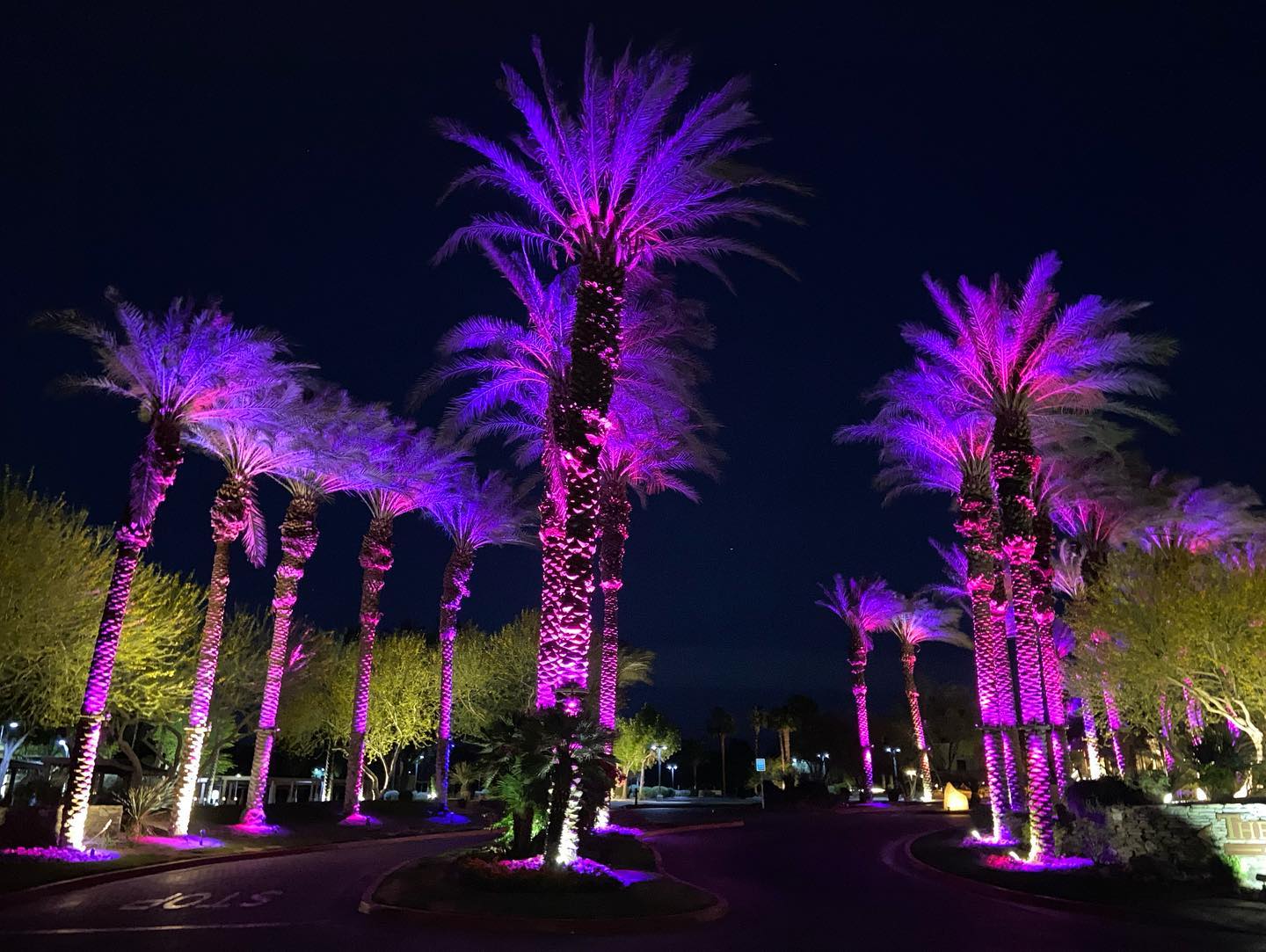 Roto Lighting - Color-Changing Palm Tree Ring Light Installation on the ...