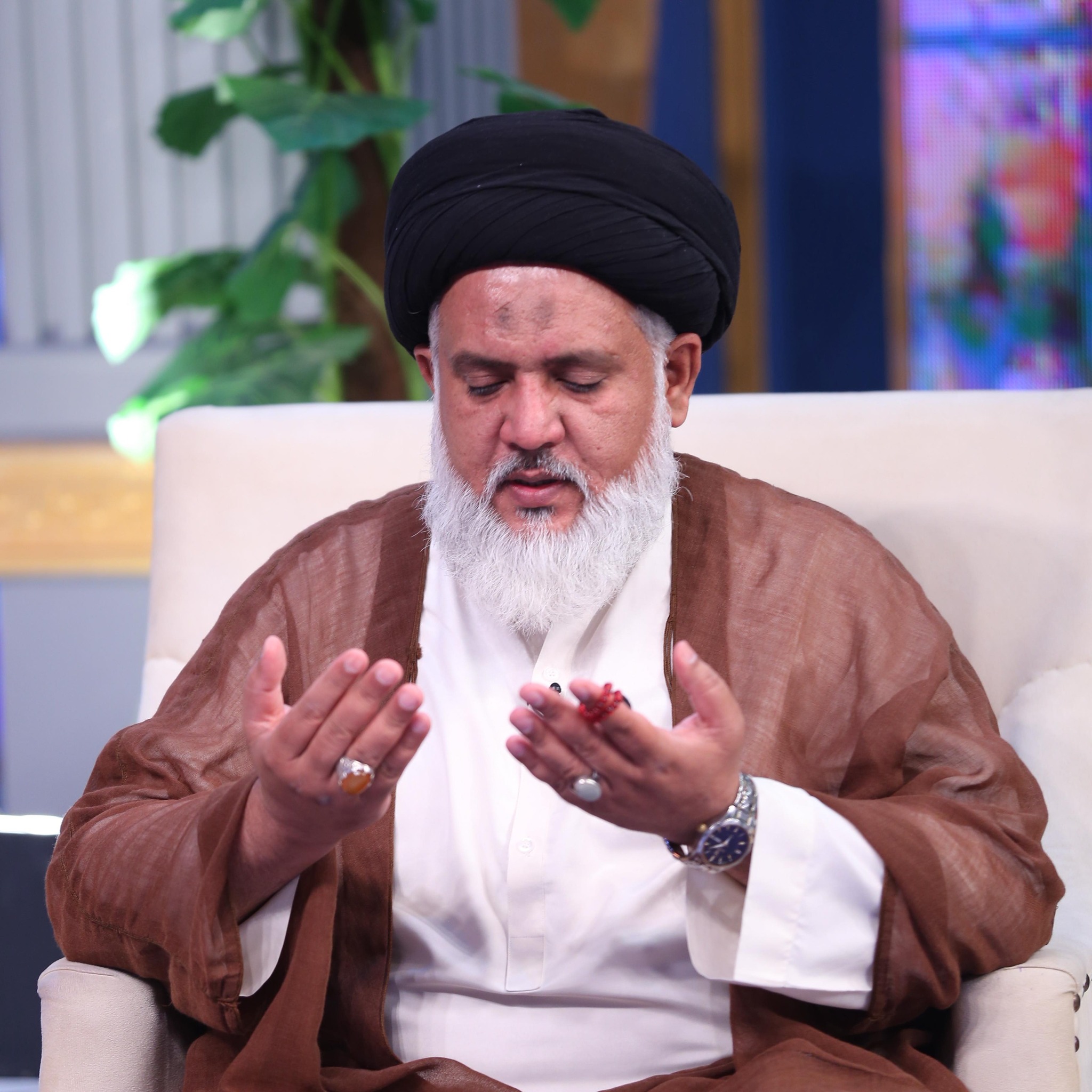 Syed Hassan Raza Hamdani