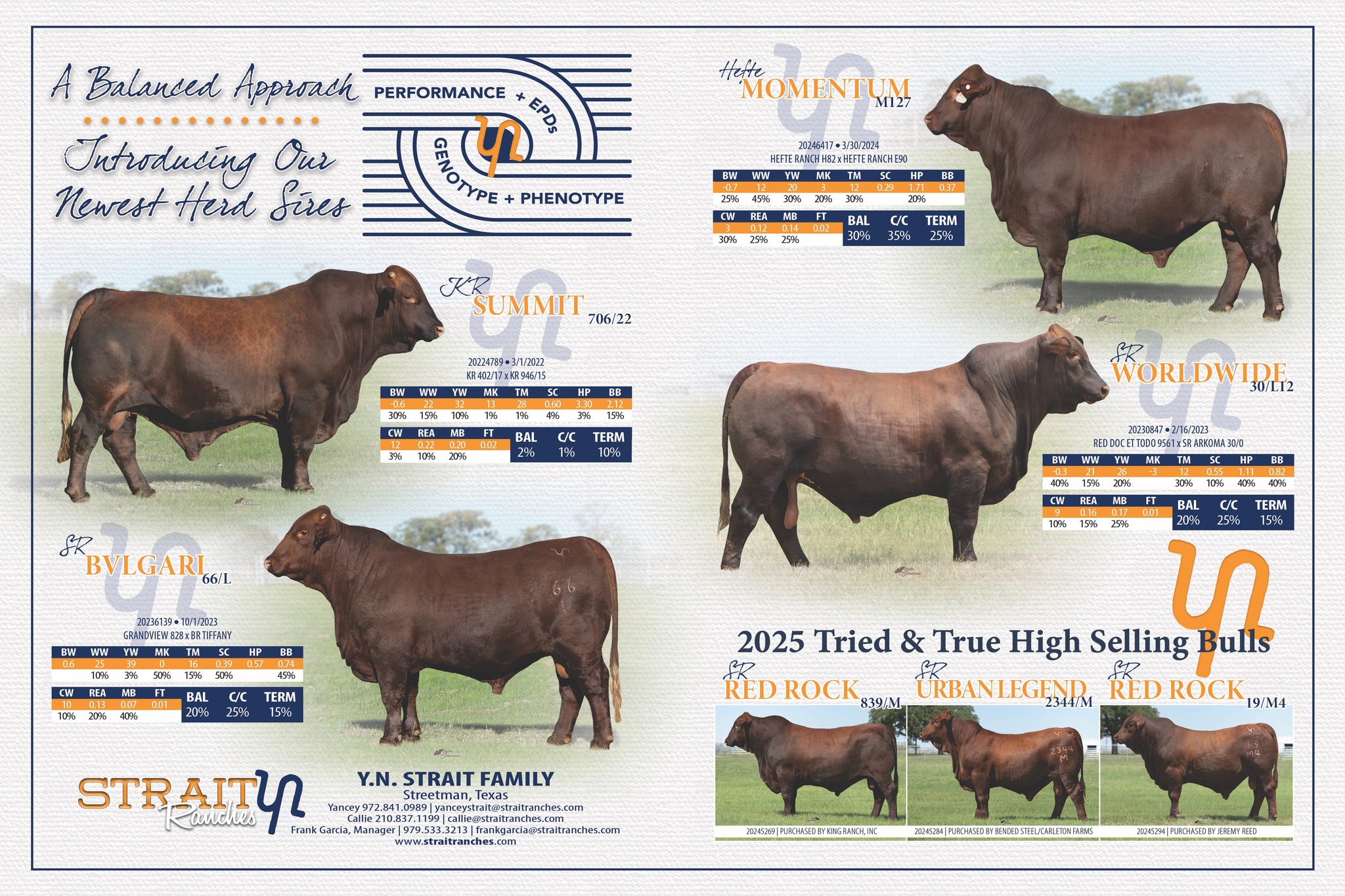 Strait - Strait Ranches is selling 50% Semen Interest and Full ...