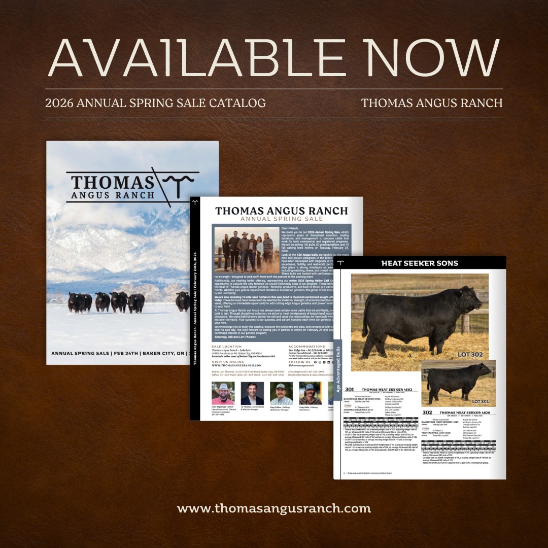 Thomas Angus Ranch | Baker City OR