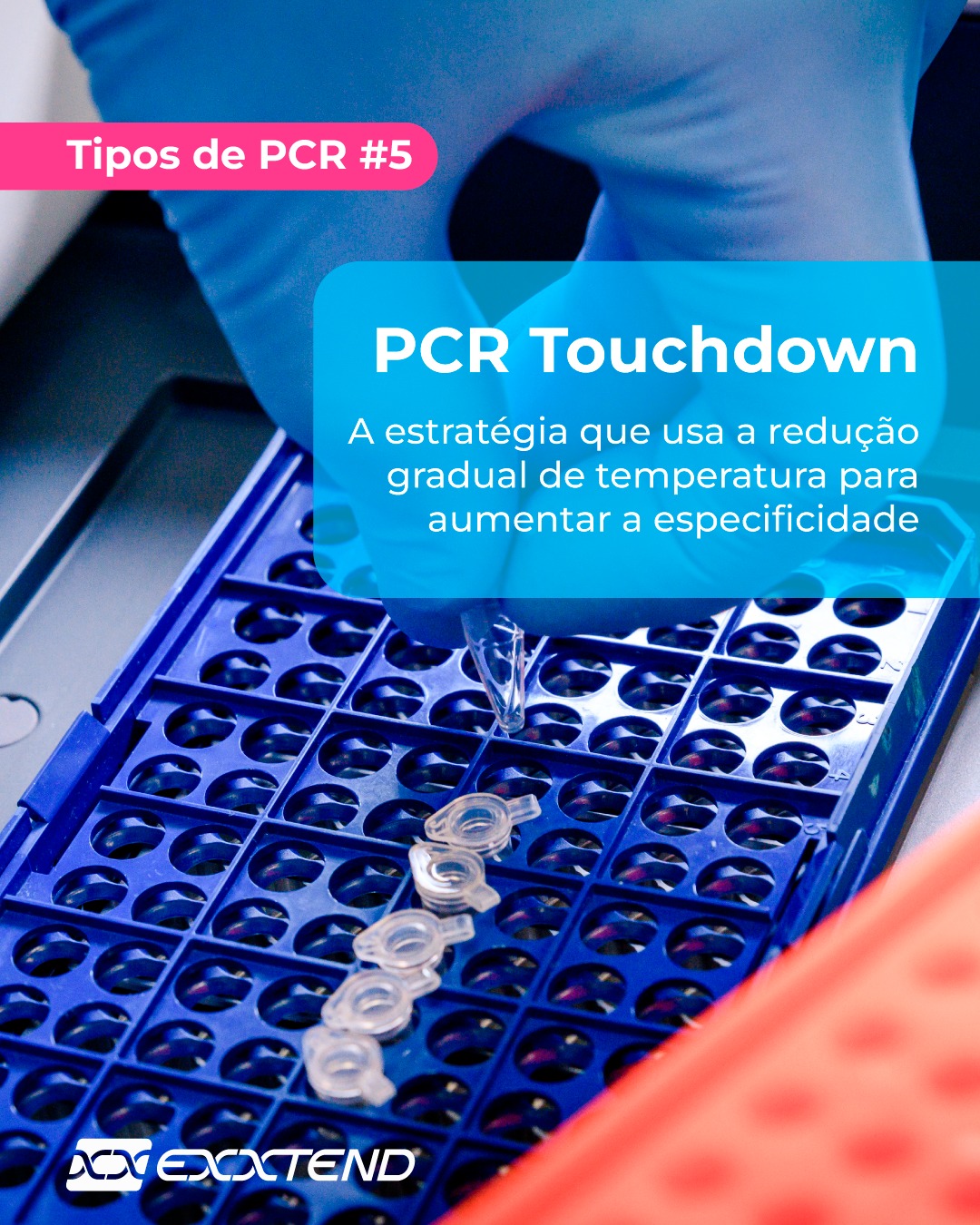 Exxtend - Em nossa série sobre os tipos de PCR, hoje apresentamos a PCR ...