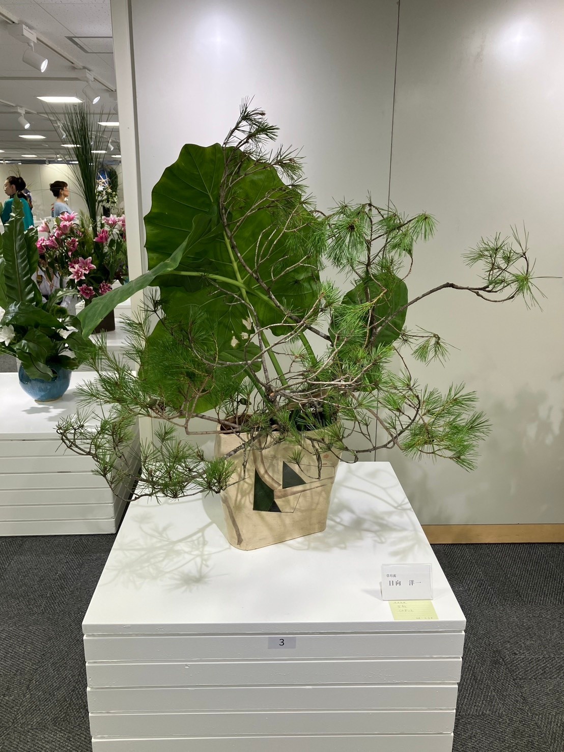 いけばな草月流 Ikebana - 花材：ななかまど、オーガスタ（葉