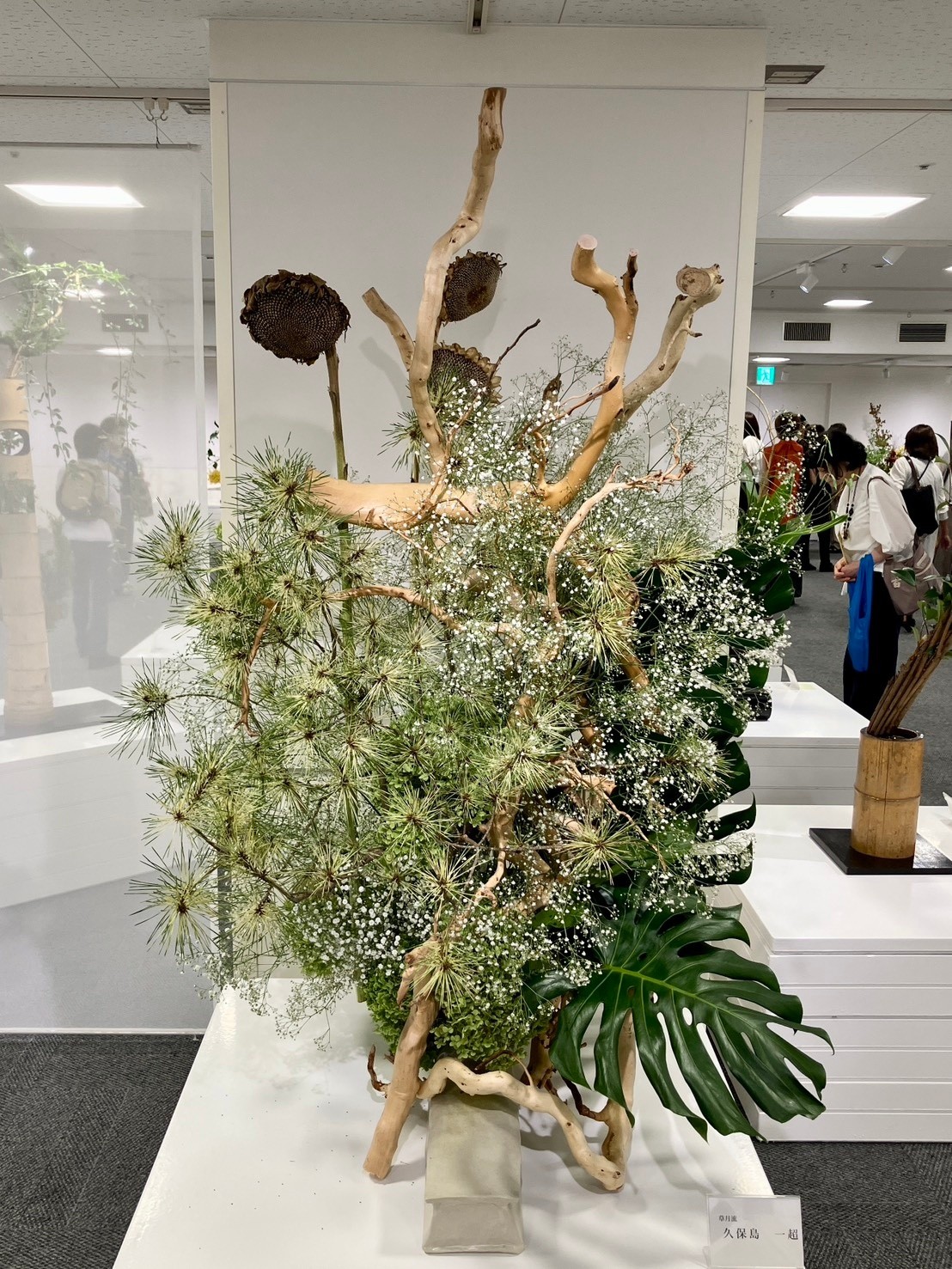 いけばな草月流 Ikebana - 岩田ガラスの花器にいけたエリアの作品