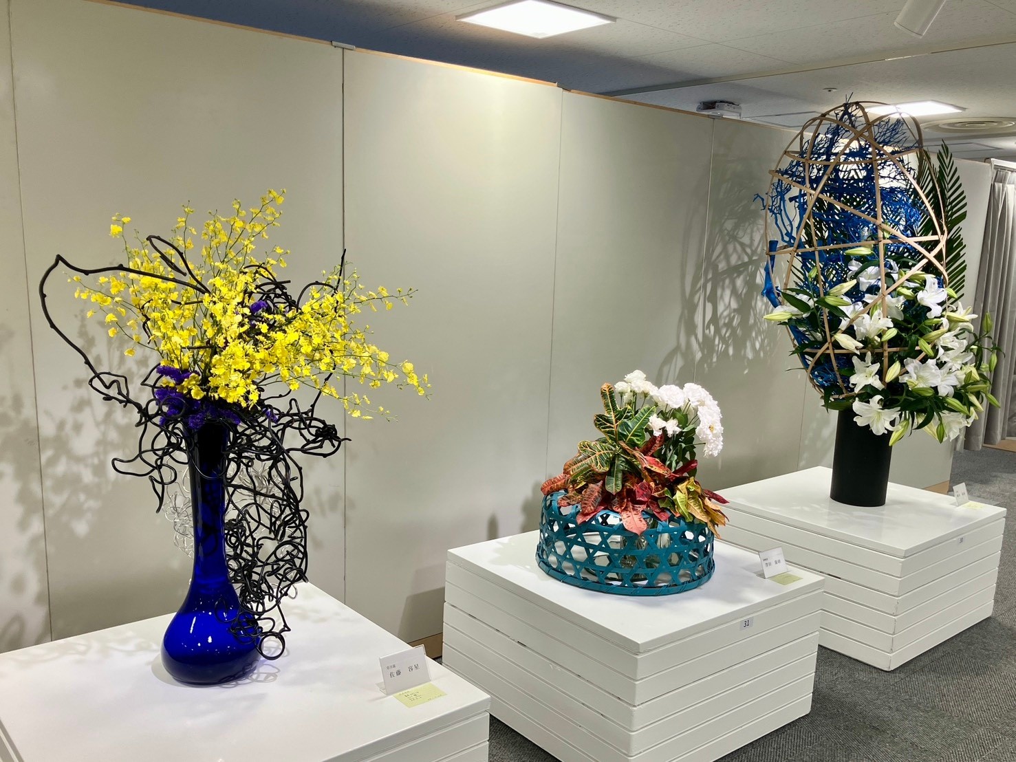 いけばな草月流 Ikebana - 勅使河原宏作の花器を使ったエリアの大作