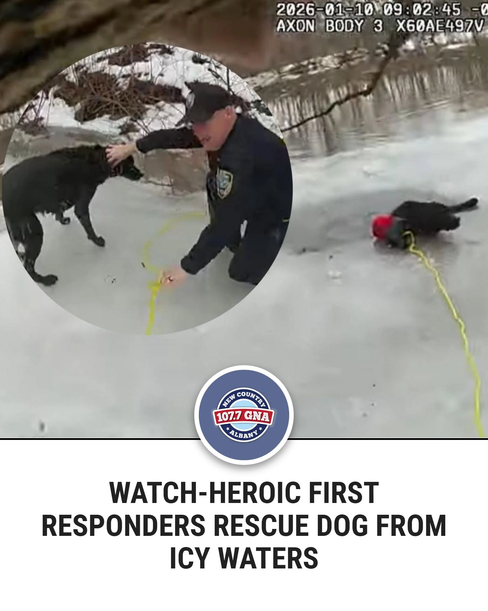 Country - A woman was walking her dog when the ice gave way. That's ...