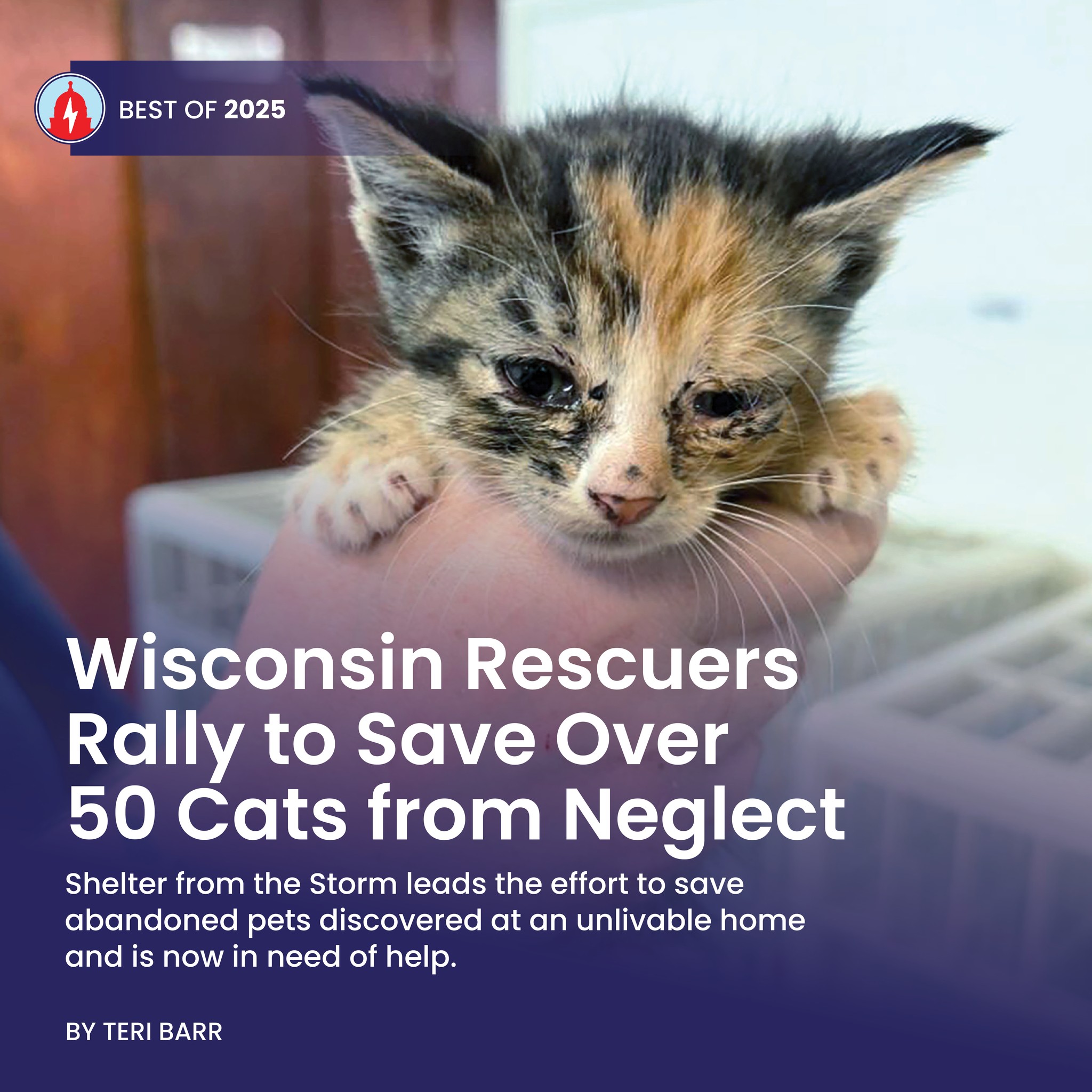 Shelter From The... - Shelter From The Storm Animal Rescue
