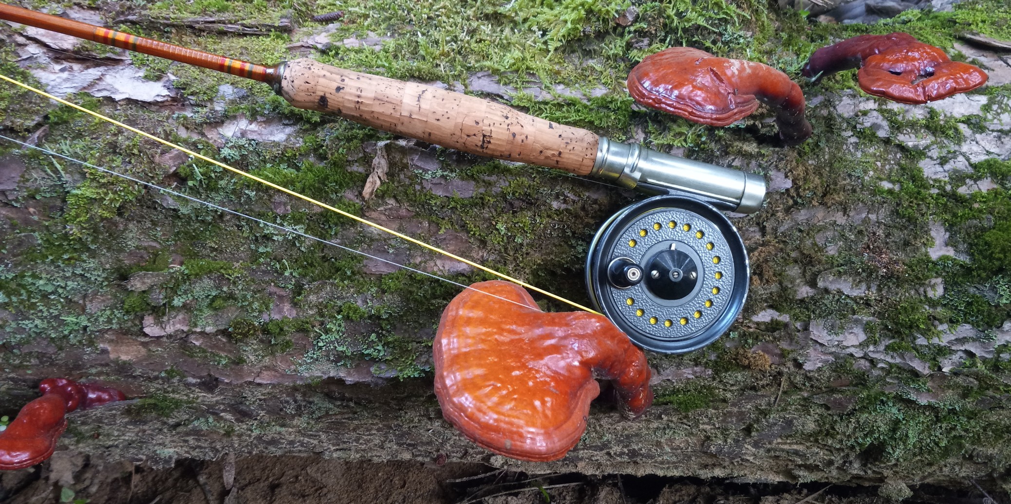 beaudex fishing reels JW Young 3 3/4" fly reel Lot - A J.W. Young