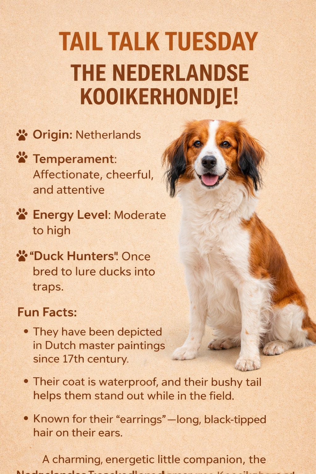 🐾 Tail... - Lakeshore Veterinary Hospital, Inc. 419-621-9080 | Facebook