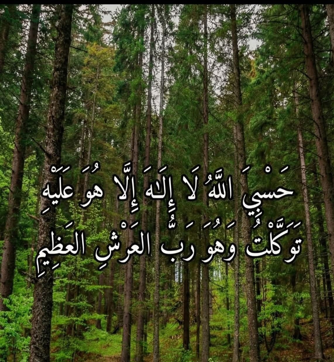 الشيخ ماهر المعيقلي | Facebook