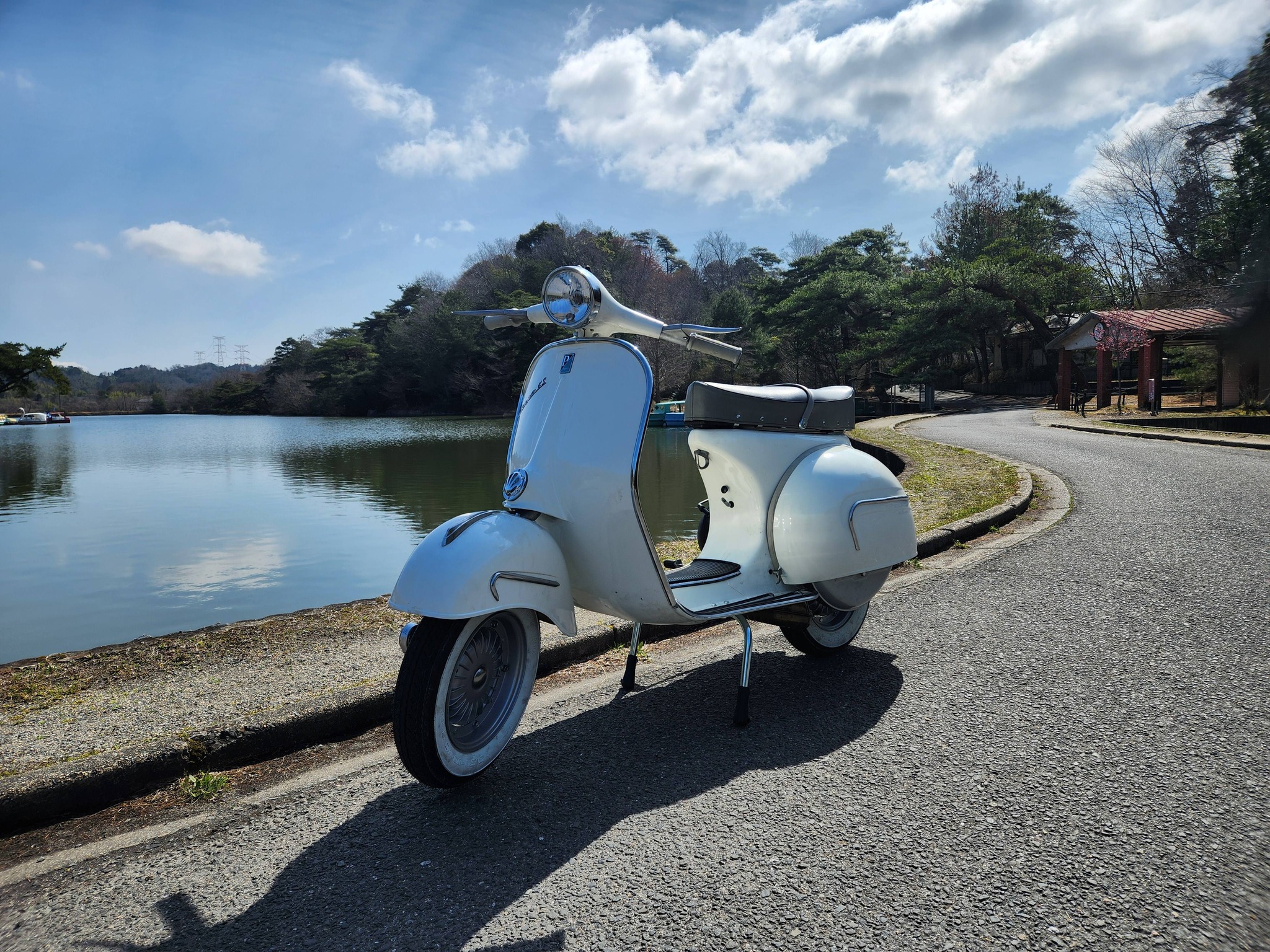 Pugscooters | Katano-shi Osaka