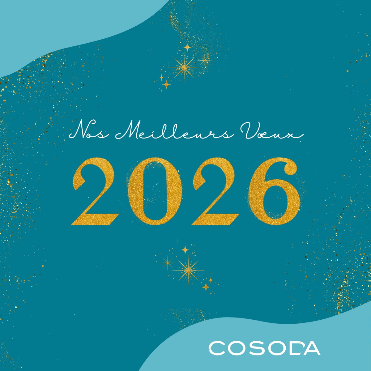 🌺 Bonne année 2026 En... - Moi, j'assure - Cosoda Tahiti | Facebook