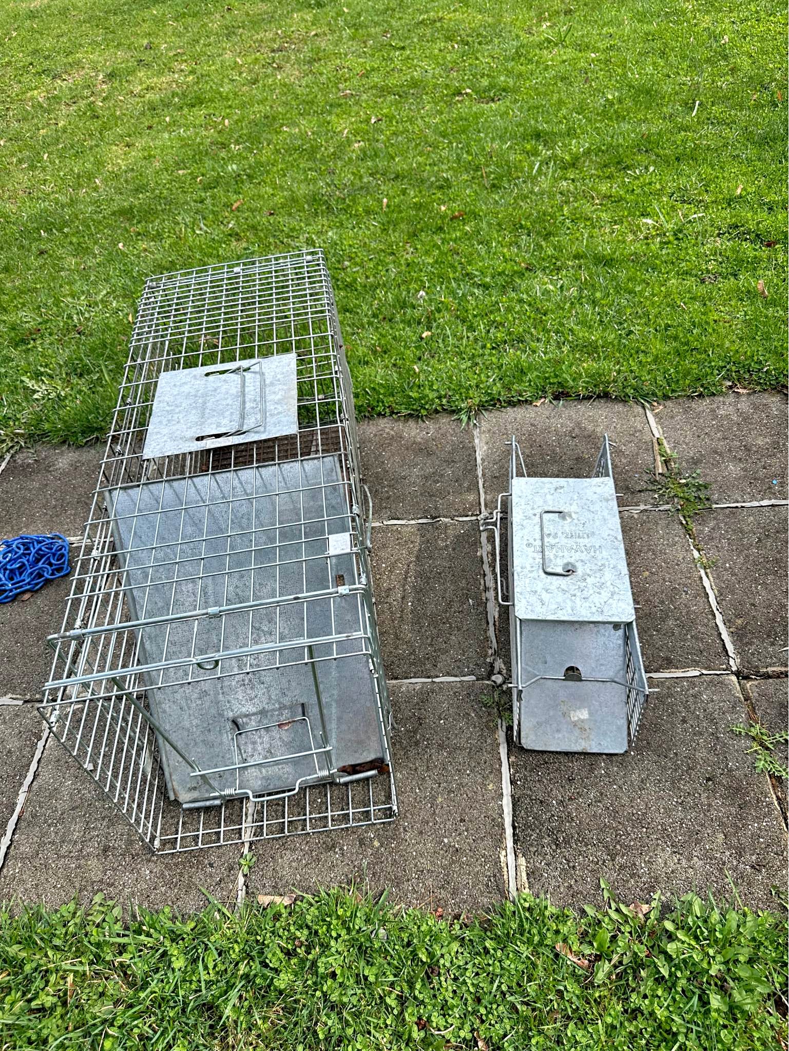 Number one coil spring traps, some are double jaw - Fishing - Afton ...